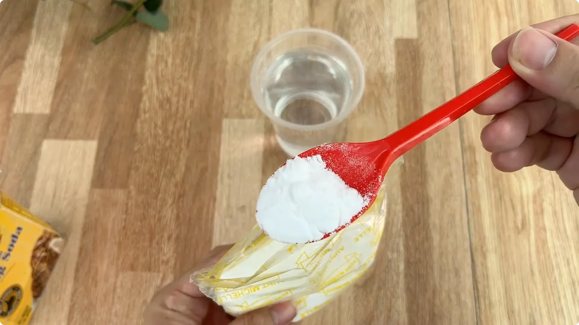 How Did This Rose Branch Root and Sprout So Quickly? screenshot 7