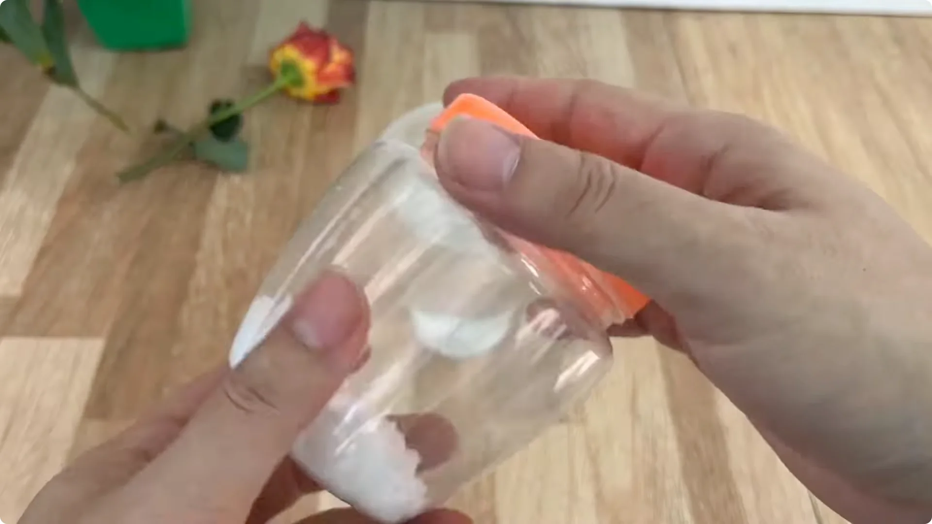 How Did This Rose Branch Root and Sprout So Quickly? screenshot 8