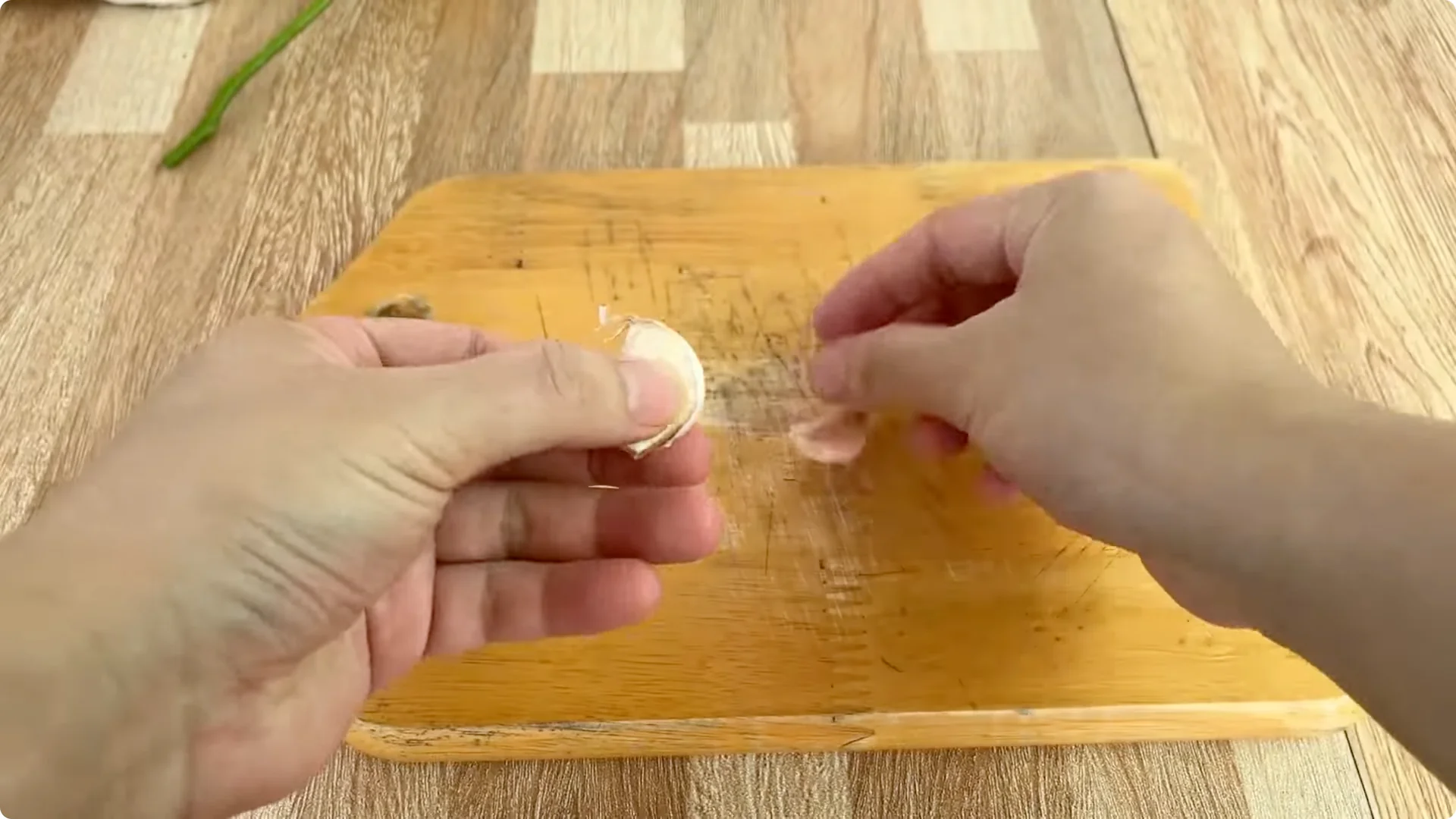 How Garlic and Coca Cola Boost Rose Propagation Effectively screenshot 2