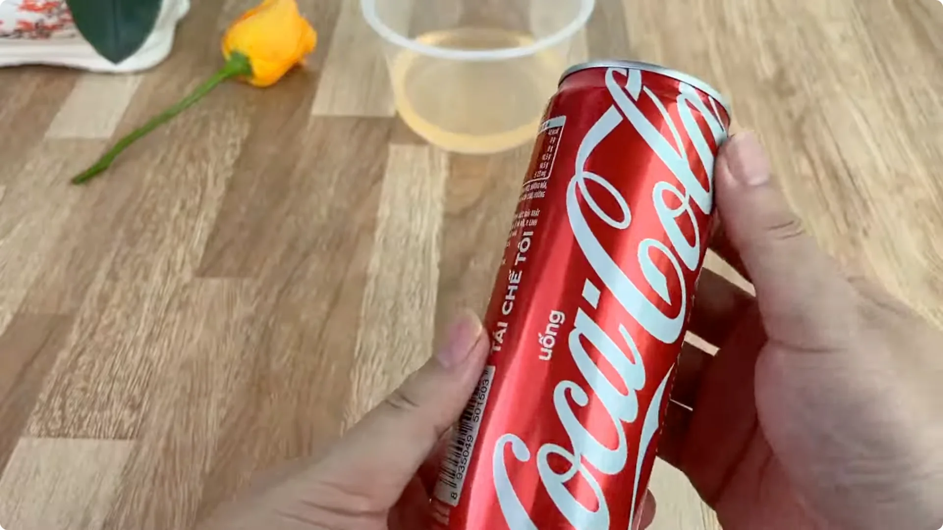 How Garlic and Coca Cola Boost Rose Propagation Effectively screenshot 3