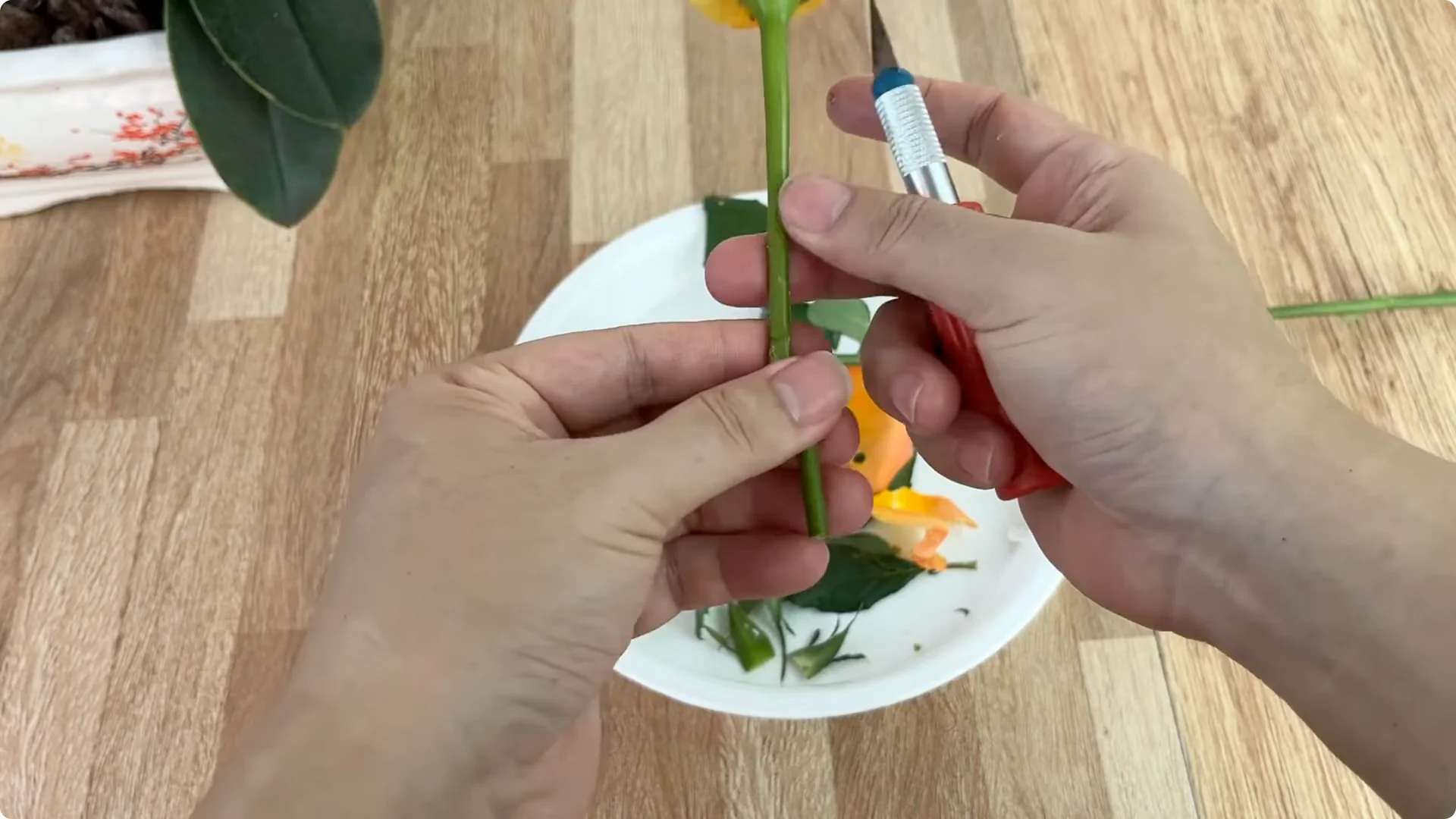 How Garlic Sparks Rose Branches to Root and Bud Overnight screenshot 11