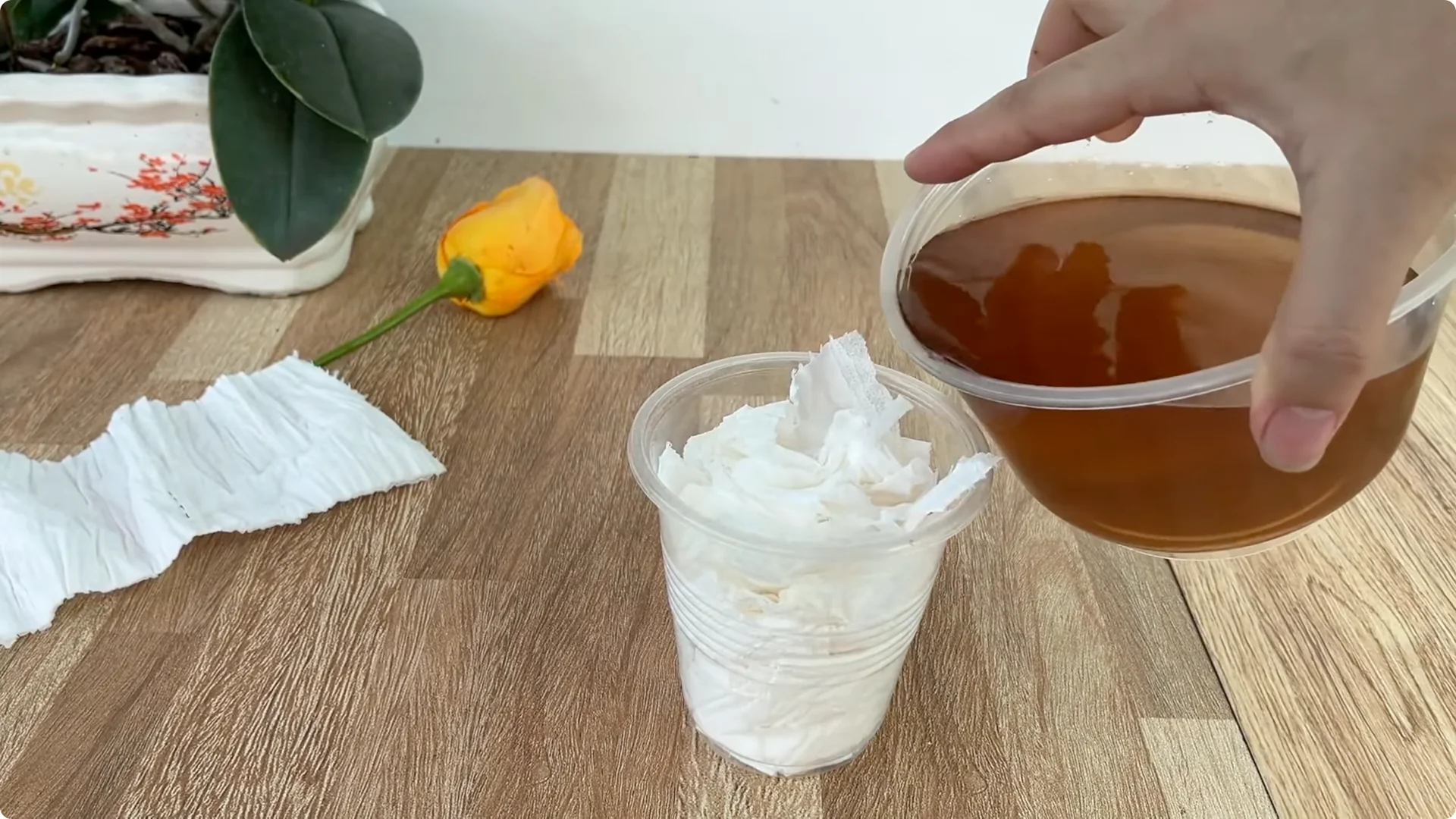 How Garlic Sparks Rose Branches to Root and Bud Overnight screenshot 17