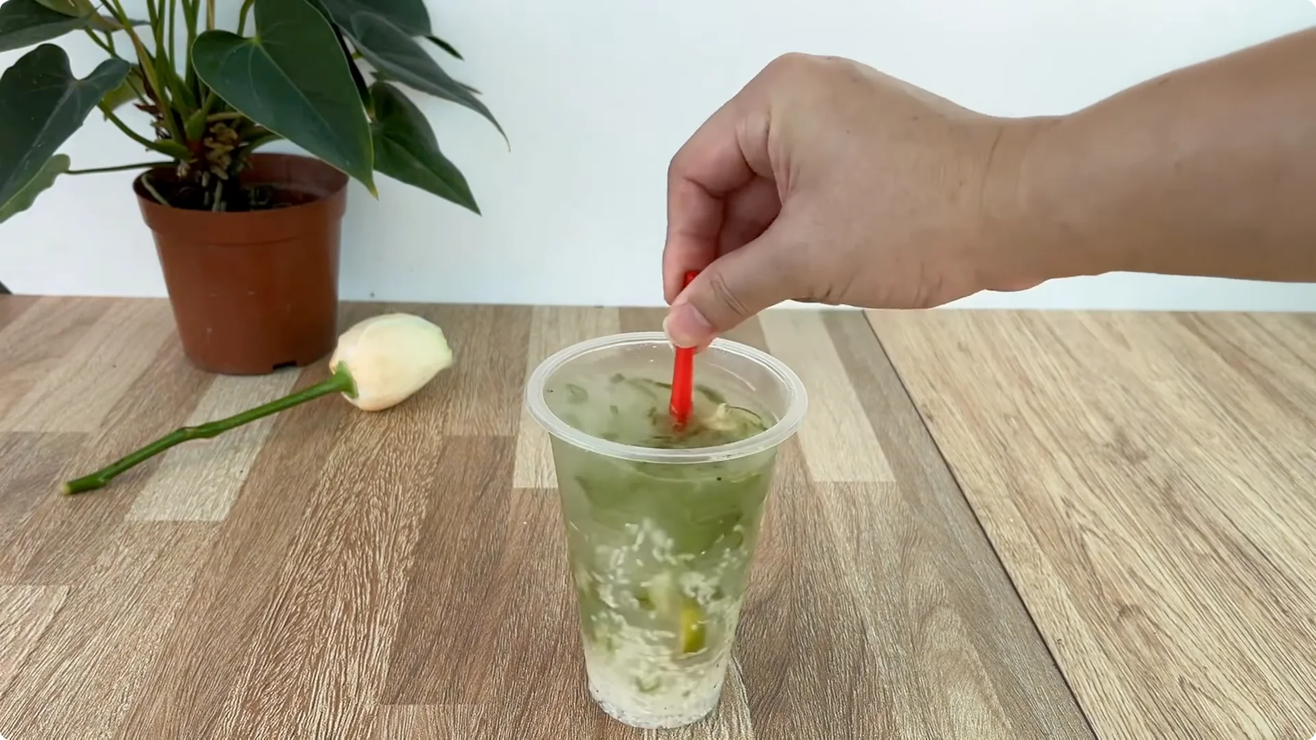 How Garlic Sparks Rose Branches to Root and Bud Overnight screenshot 5