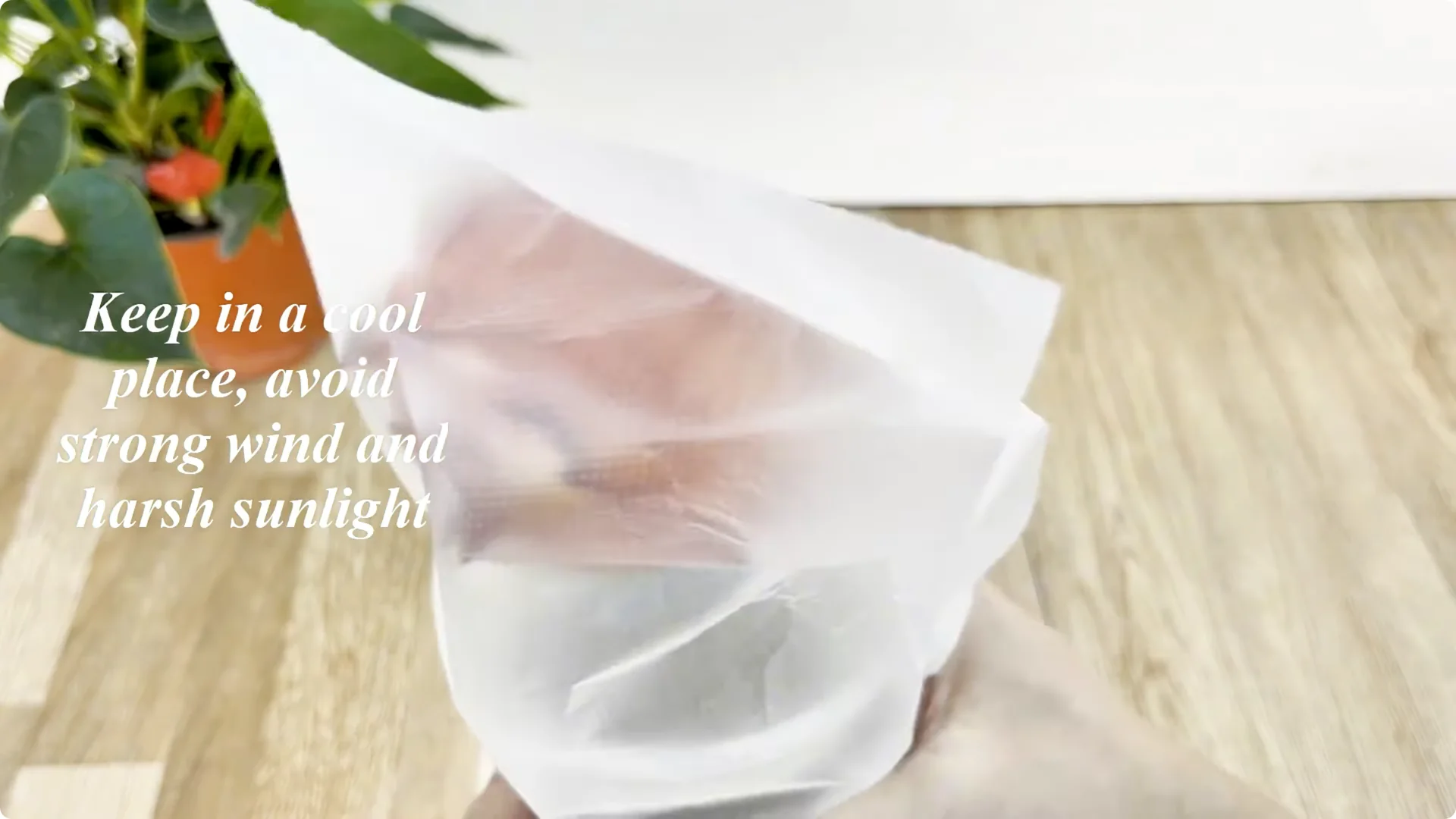 How Garlic Transforms Your Rose Plant’s Roots and Blooms screenshot 6