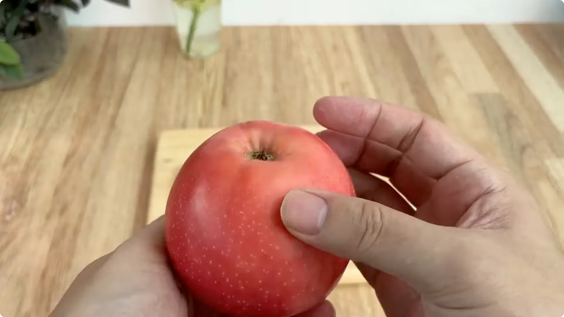 How Inserting a Rose Branch into a Lemon Grows More Roots and Flowers screenshot 3