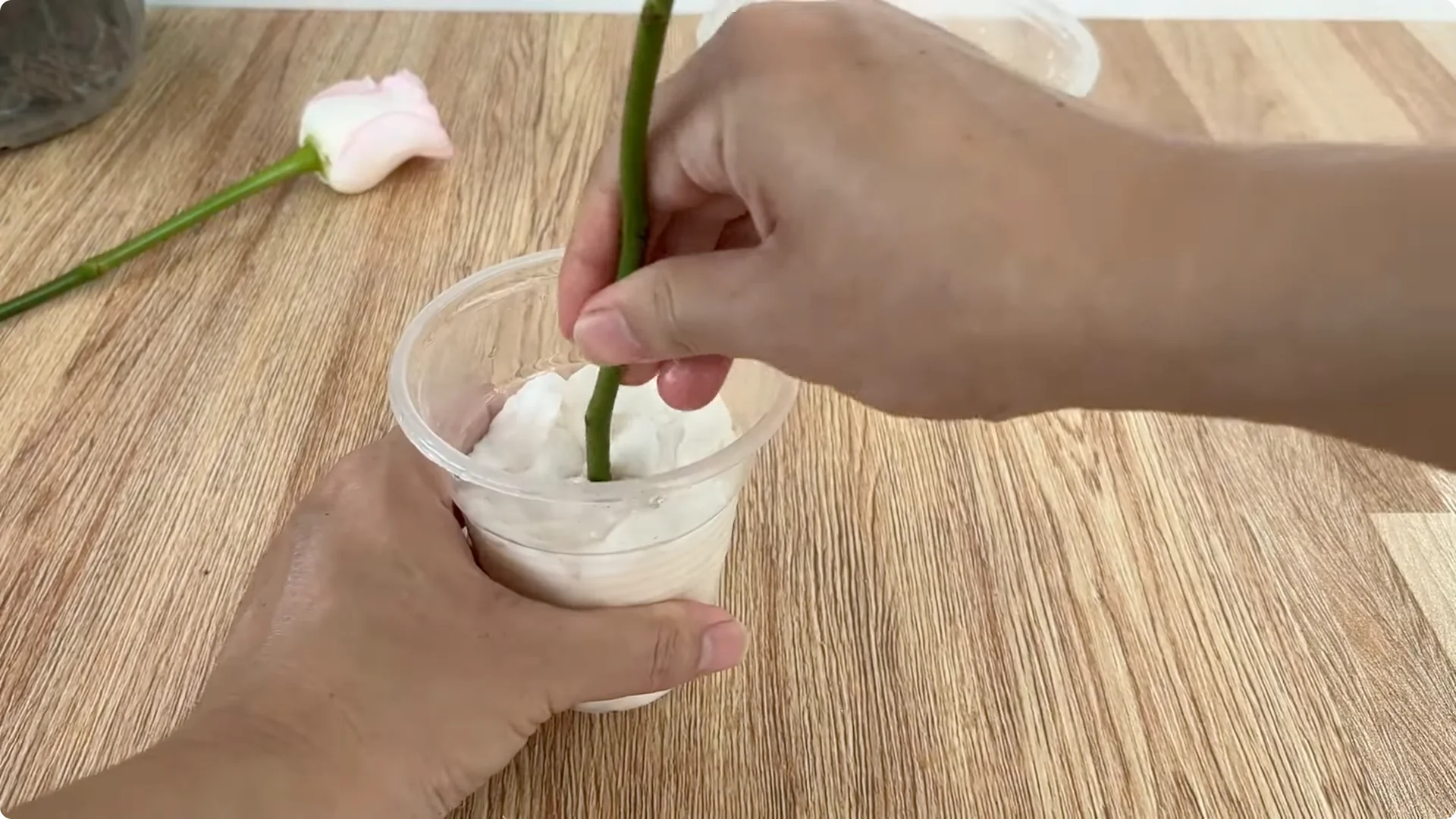 How Inserting a Rose Branch into a Lemon Grows More Roots and Flowers screenshot 7