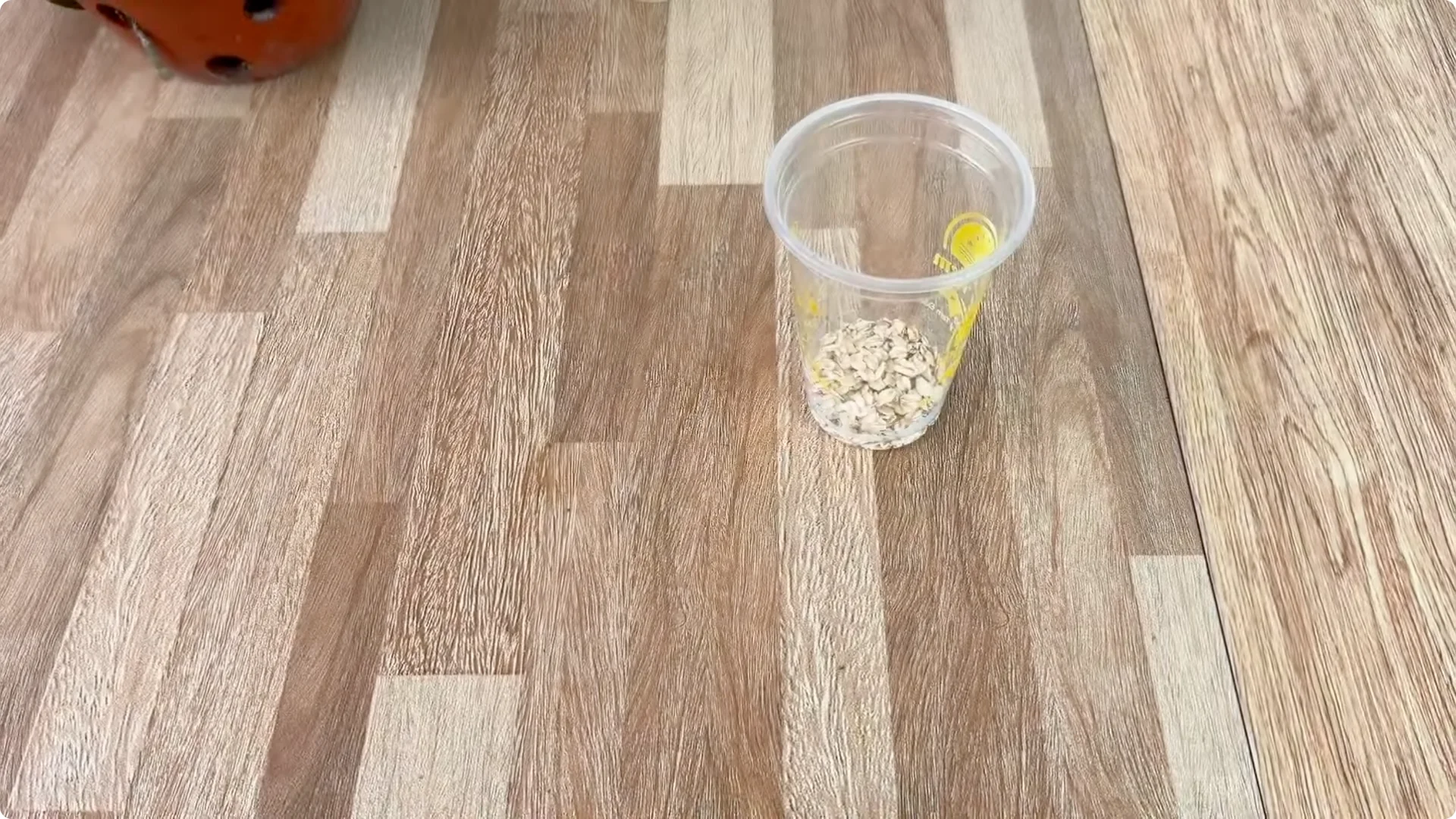 How Just Eggs Transform Rose Plants with Roots and Blooms screenshot 3