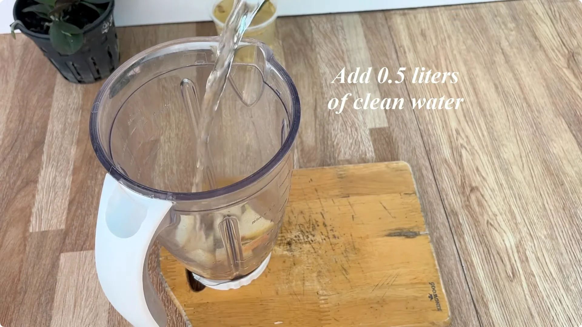 How Just One Spoon Helps Rose Branches Root and Bloom Year-Round screenshot 4