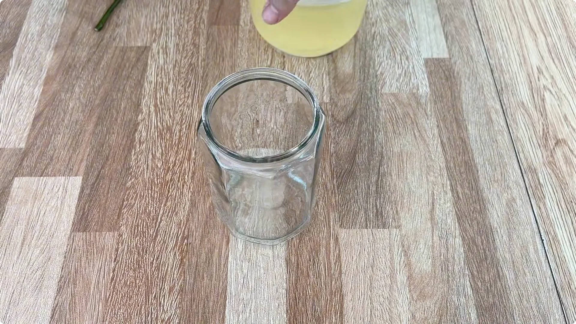 How Just One Spoon Helps Rose Branches Root and Bloom Year-Round screenshot 5