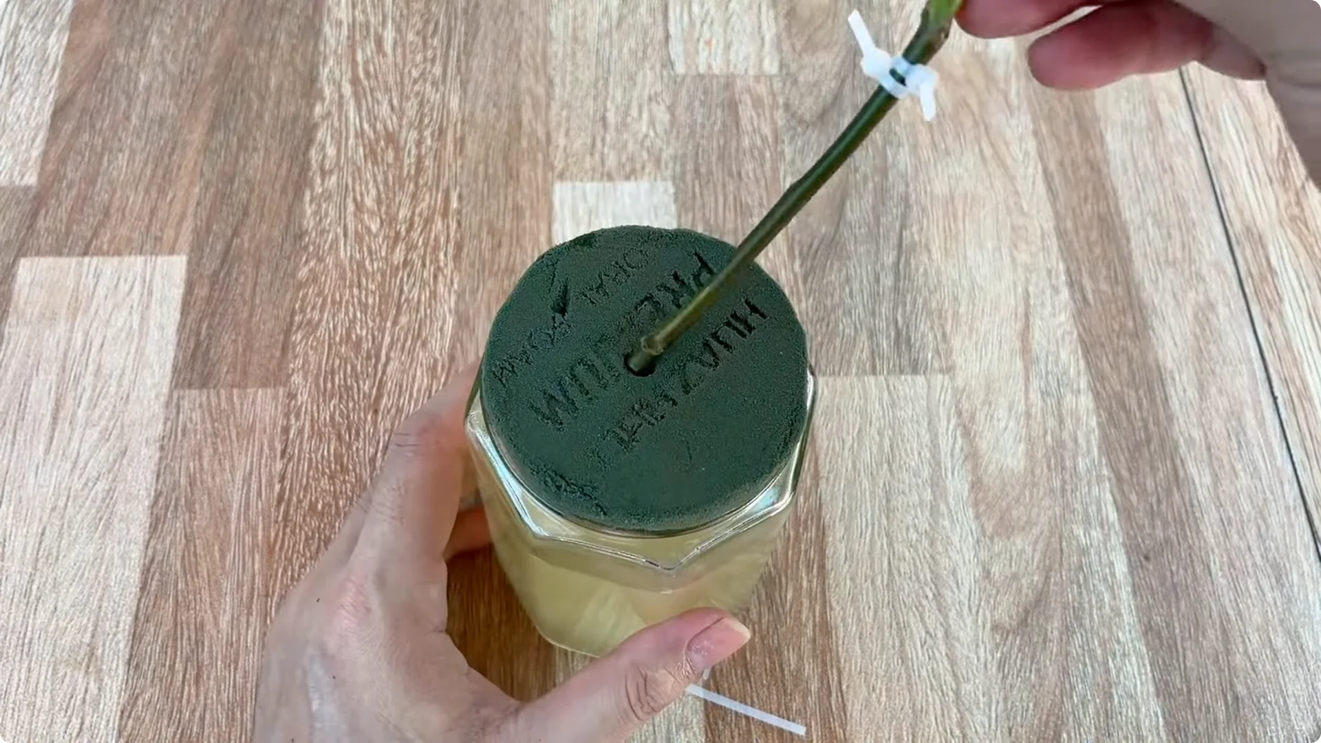 How Just One Spoon Helps Rose Branches Root and Bloom Year-Round screenshot 6