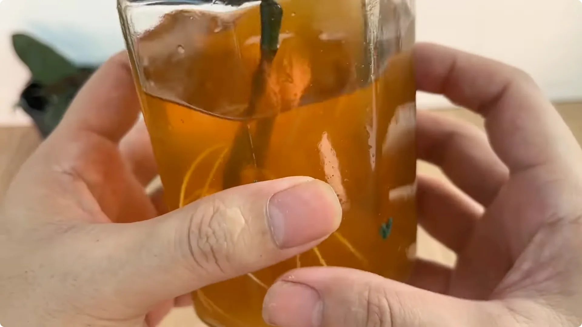 How Just One Spoon Helps Rose Branches Root and Bloom Year-Round screenshot 8