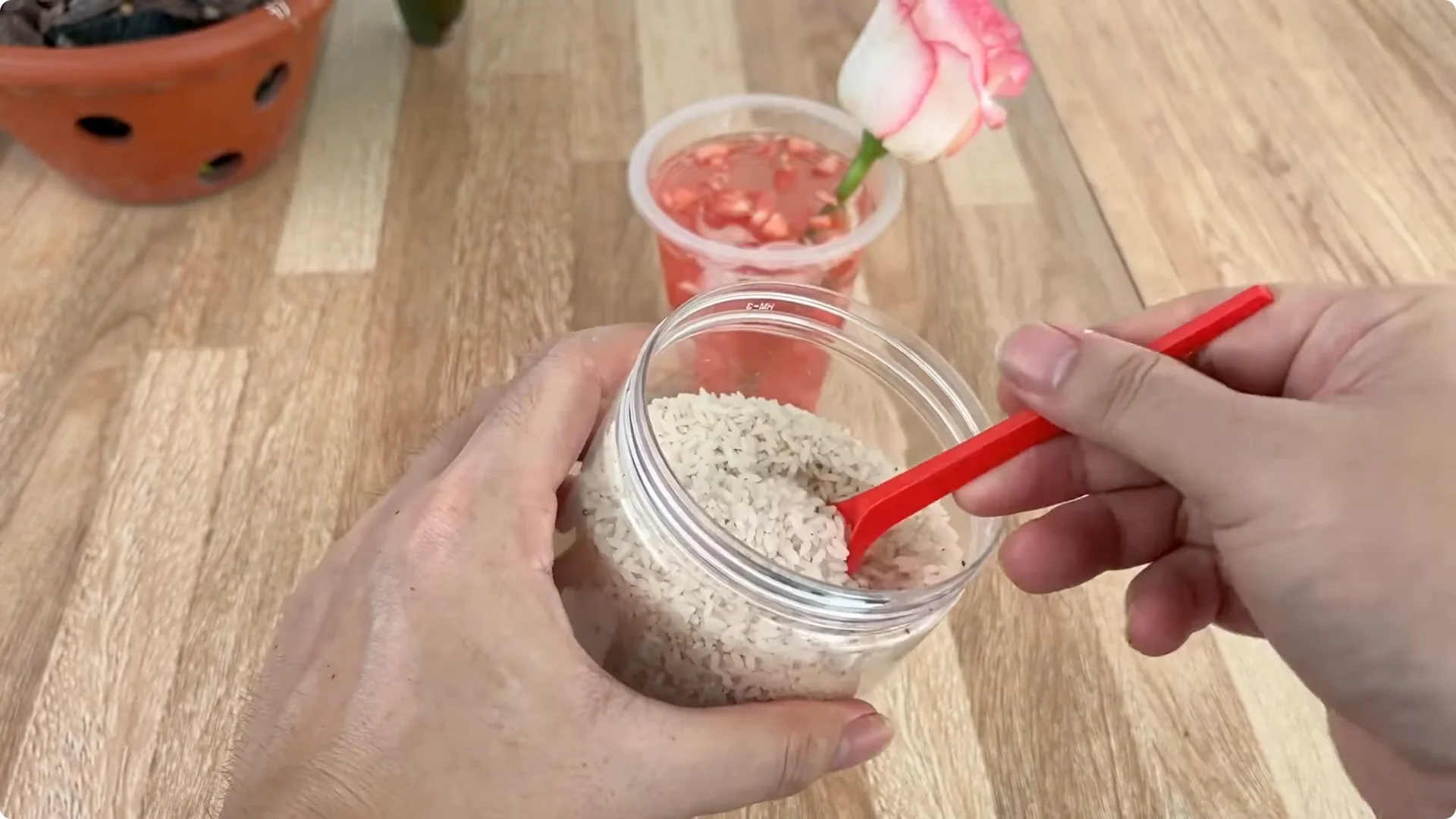 How One Clove of Garlic Transforms Your Rose Plant Roots and Blooms screenshot 2