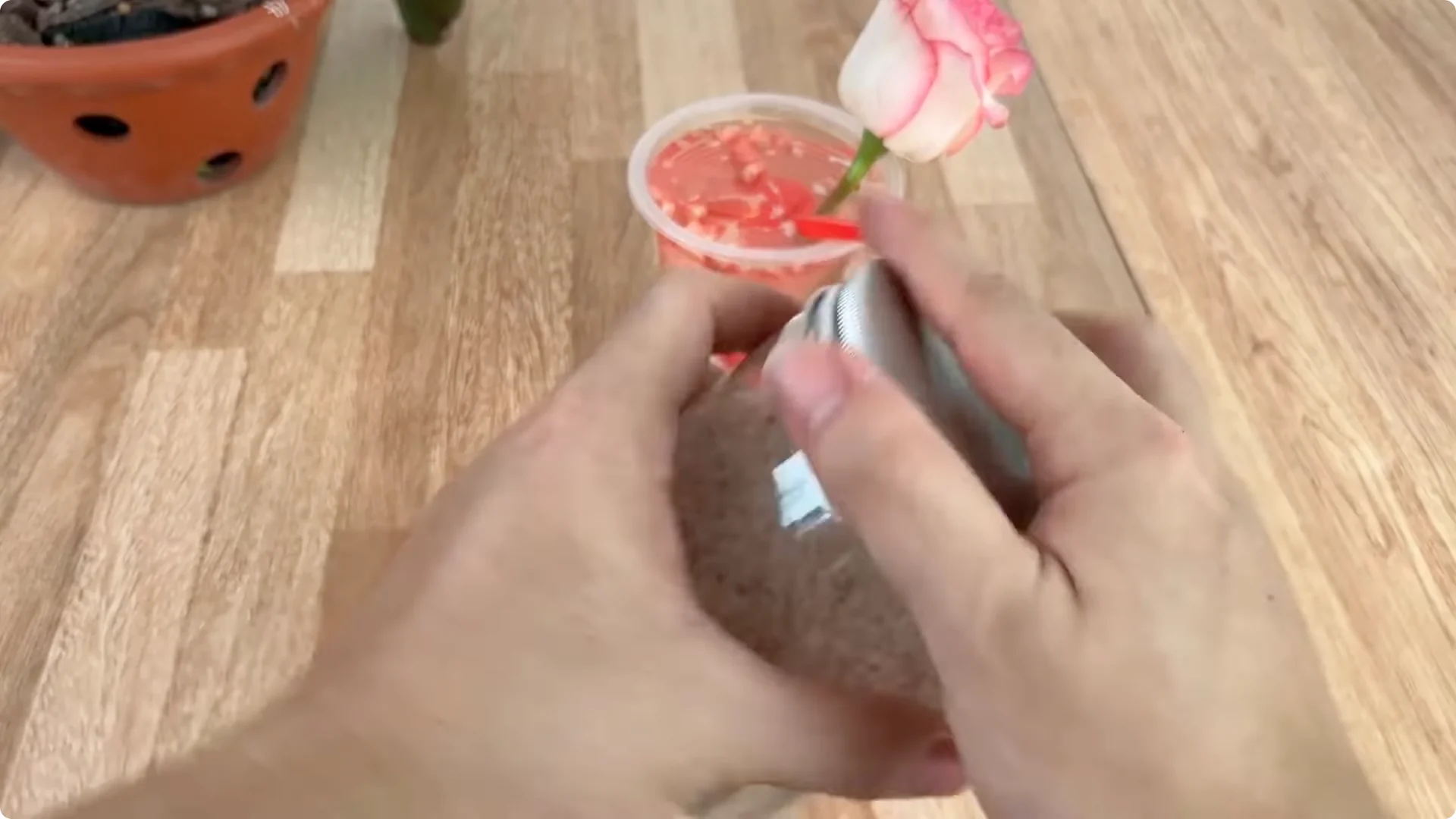 How One Clove of Garlic Transforms Your Rose Plant Roots and Blooms screenshot 3