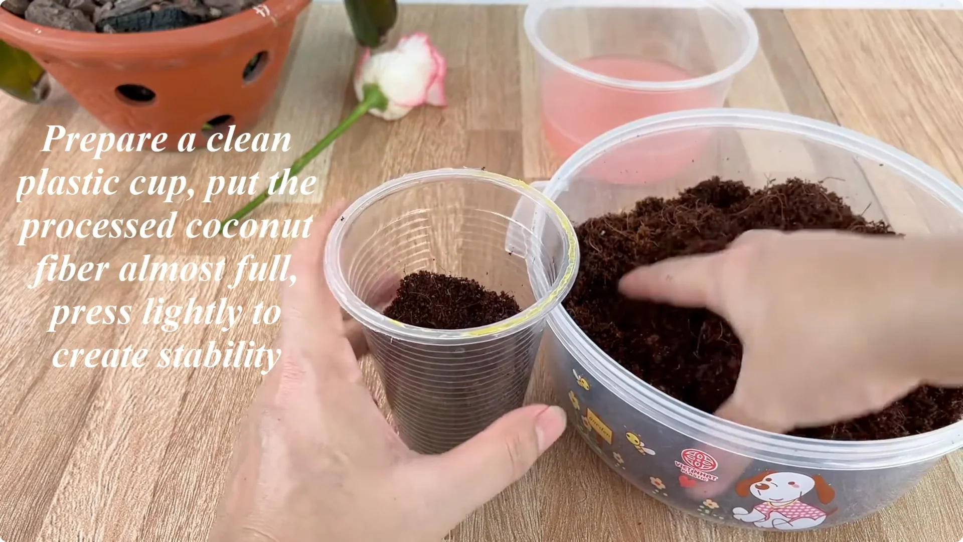 How One Clove of Garlic Transforms Your Rose Plant Roots and Blooms screenshot 4