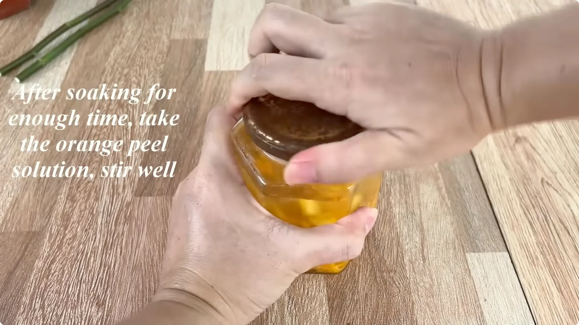 How One Cup Can Transform Your Rose Plant’s Growth screenshot 4