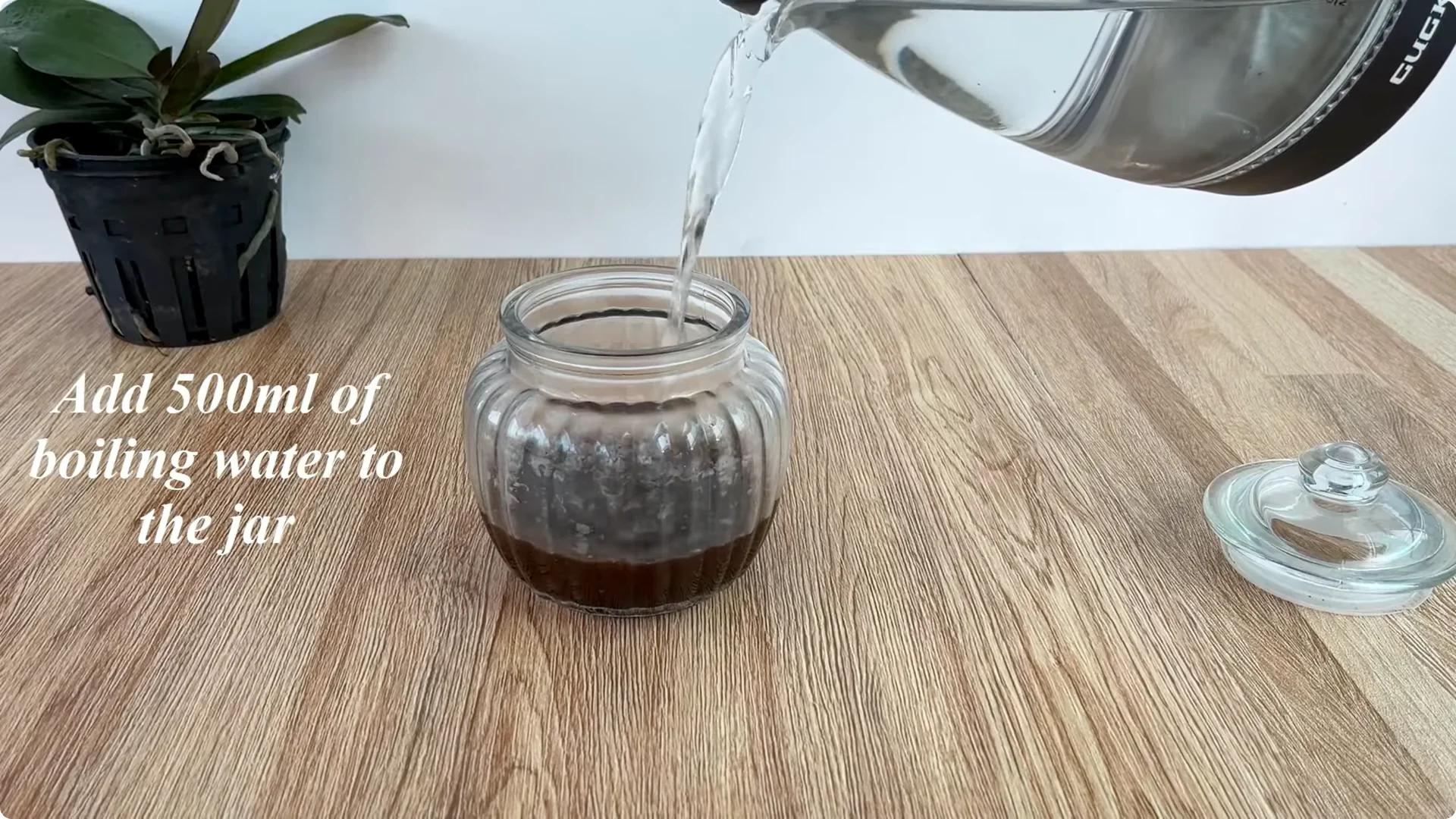 How One Cup Helped a Rose Branch Root and Bloom Abundantly screenshot 1