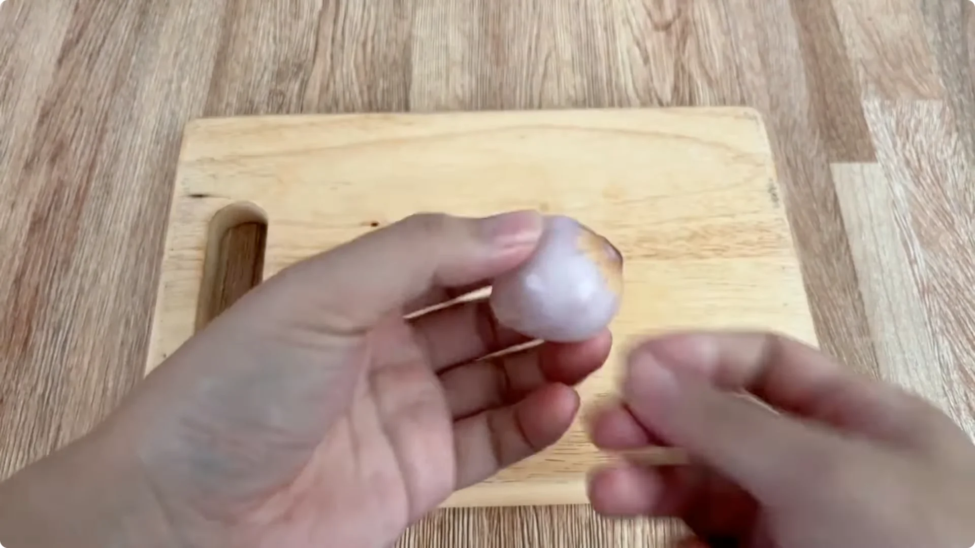 How One Cup Helped a Rose Branch Root and Bloom Abundantly screenshot 3