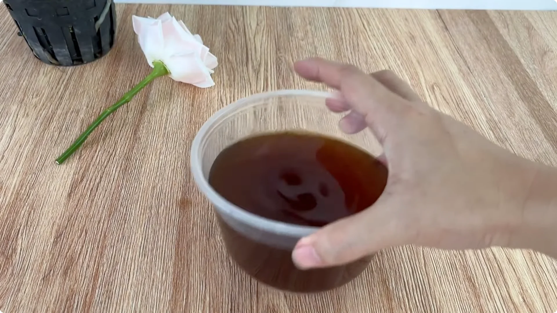 How One Cup Helped a Rose Branch Root and Bloom Abundantly screenshot 8