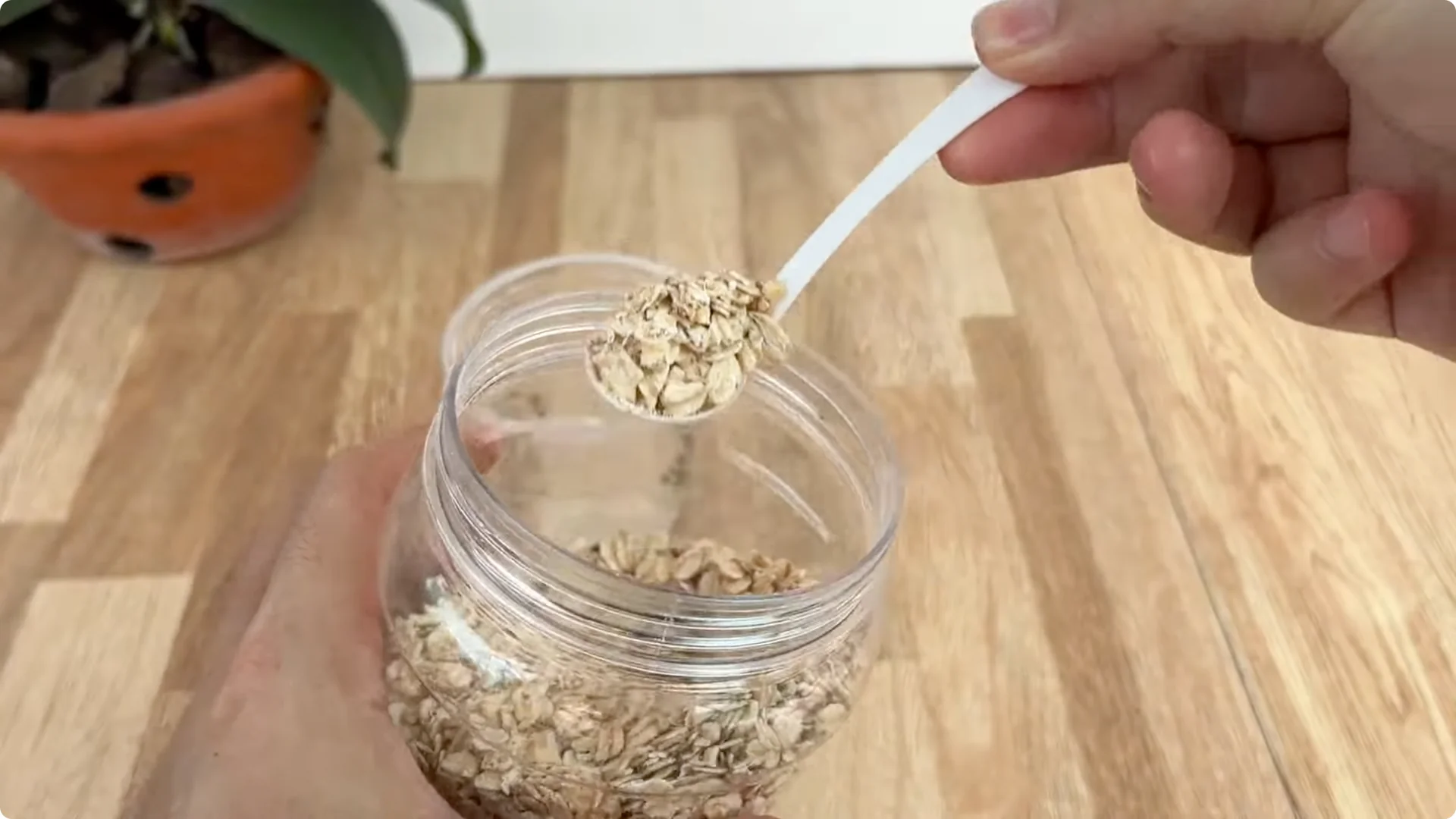 How One Cup Helped This Rose Branch Bloom Abundantly screenshot 1