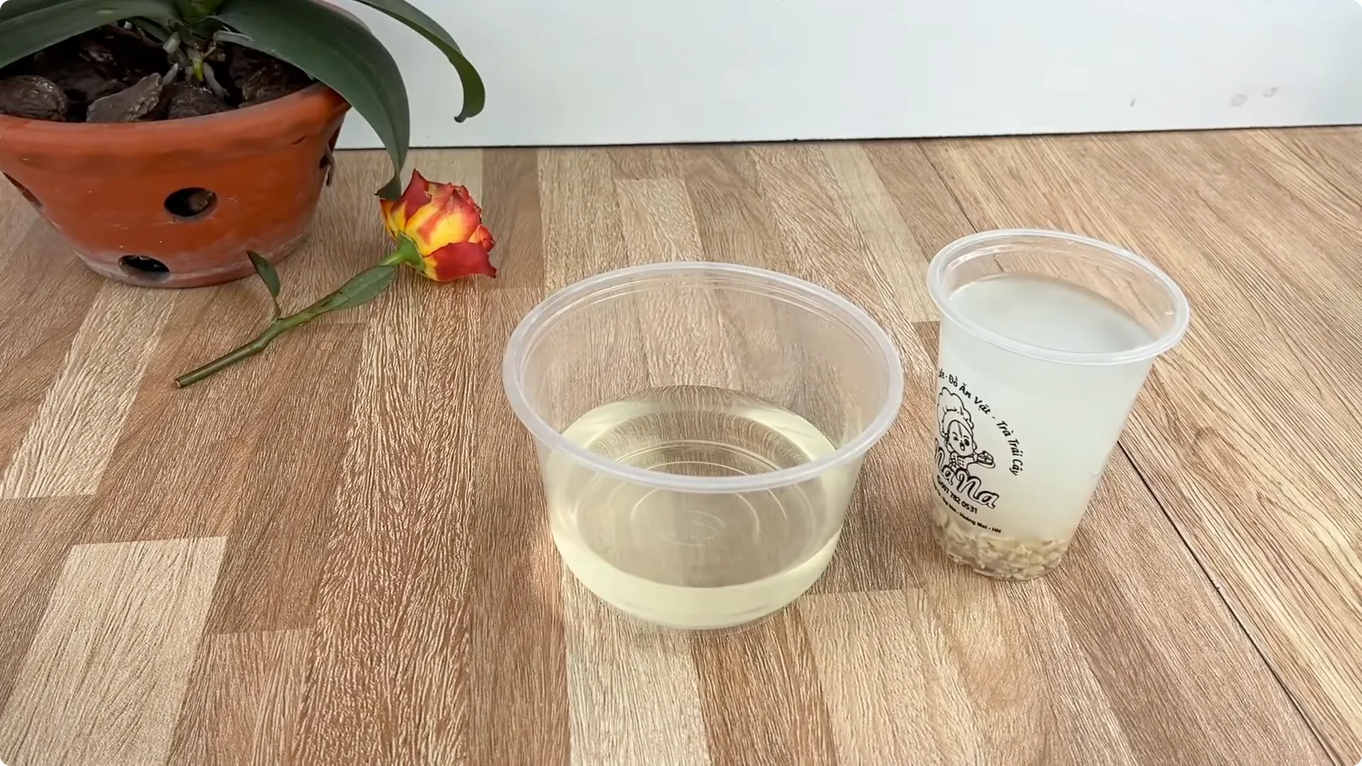 How One Cup Helped This Rose Branch Bloom Abundantly screenshot 5