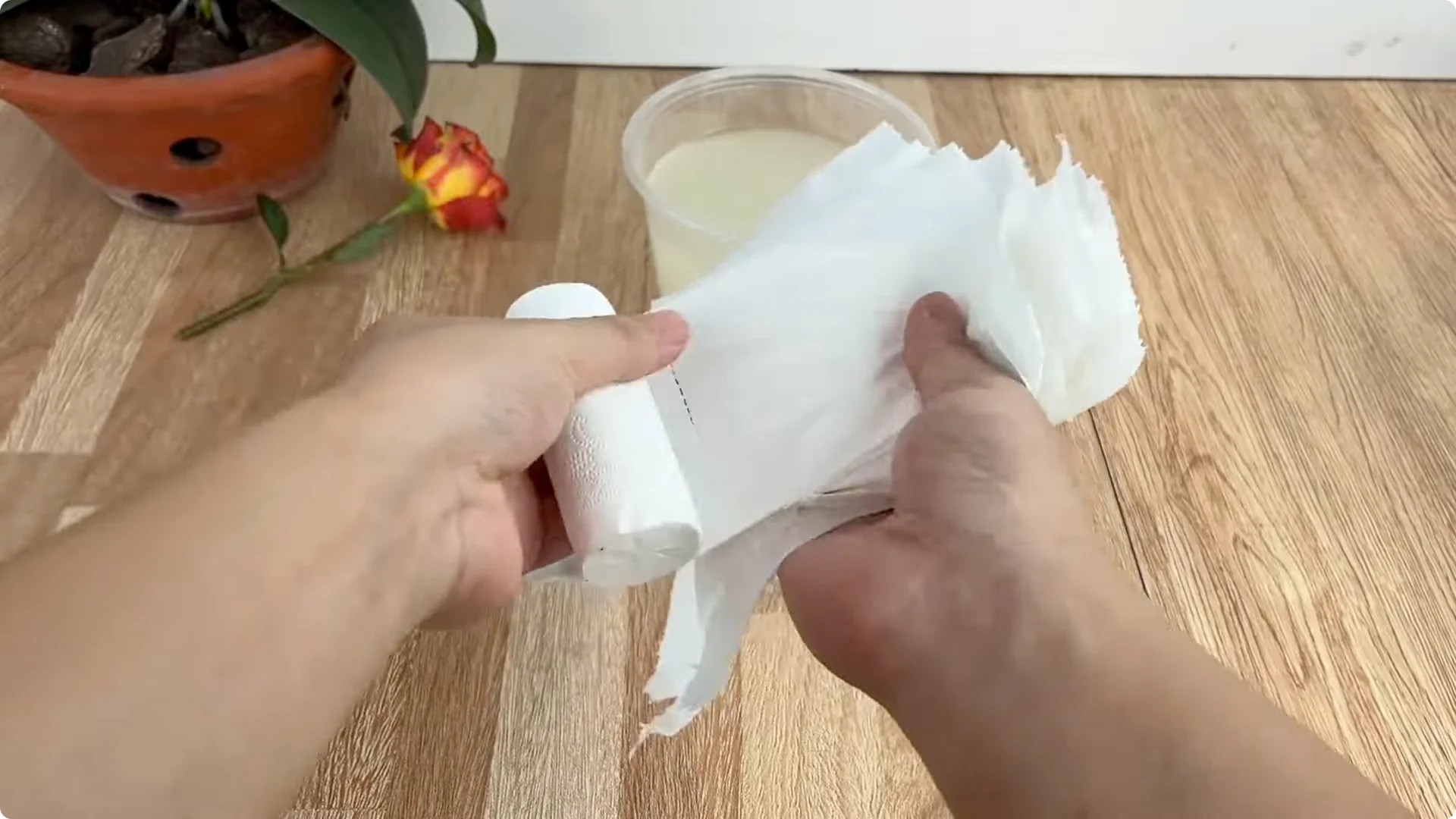 How One Cup Helped This Rose Branch Bloom Abundantly screenshot 6