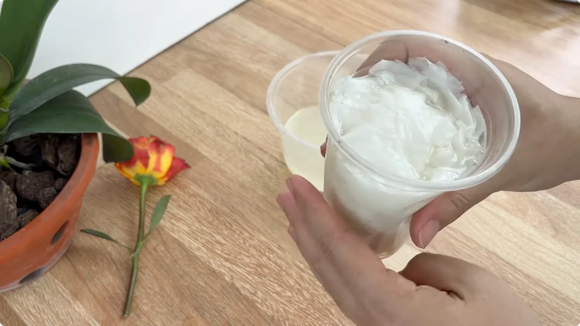 How One Cup Helped This Rose Branch Bloom Abundantly screenshot 7