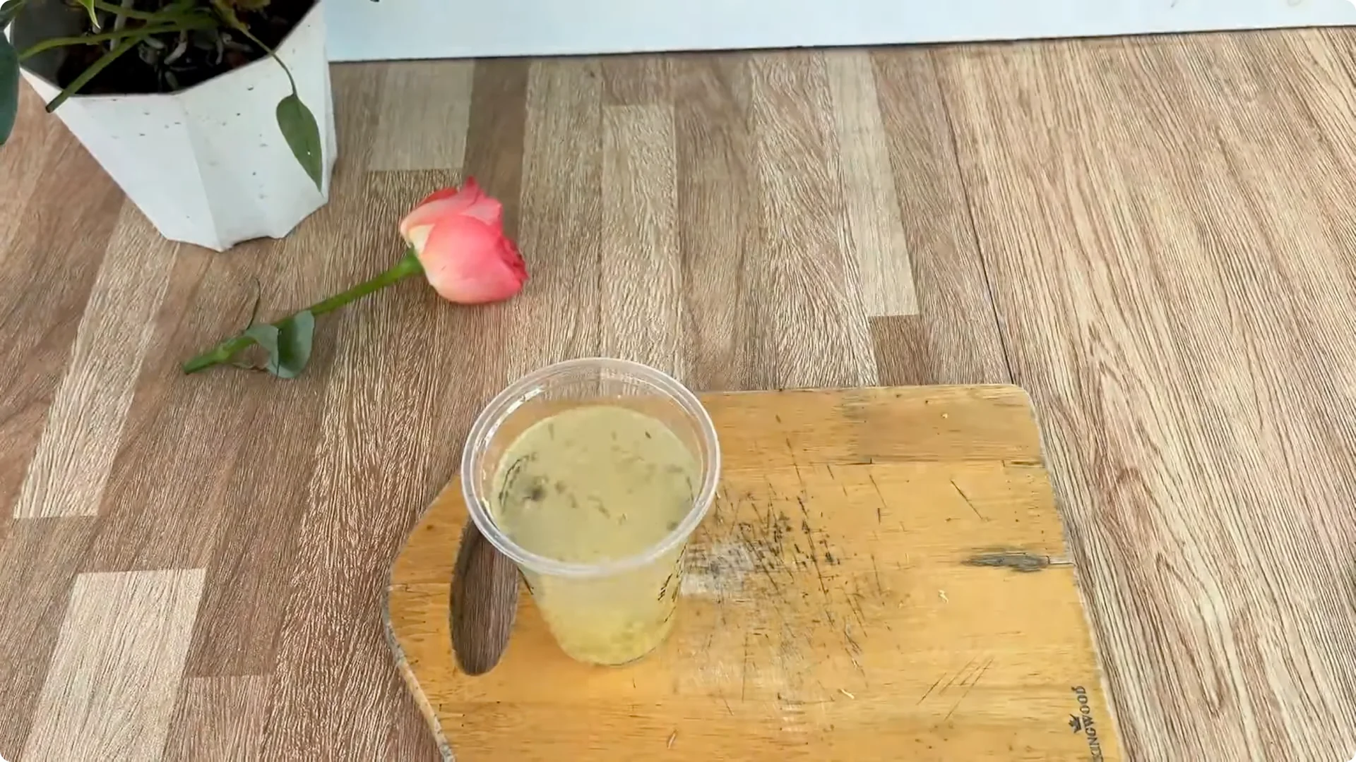 How One Cup Helps Rose Branches Grow Roots and Shoots screenshot 2