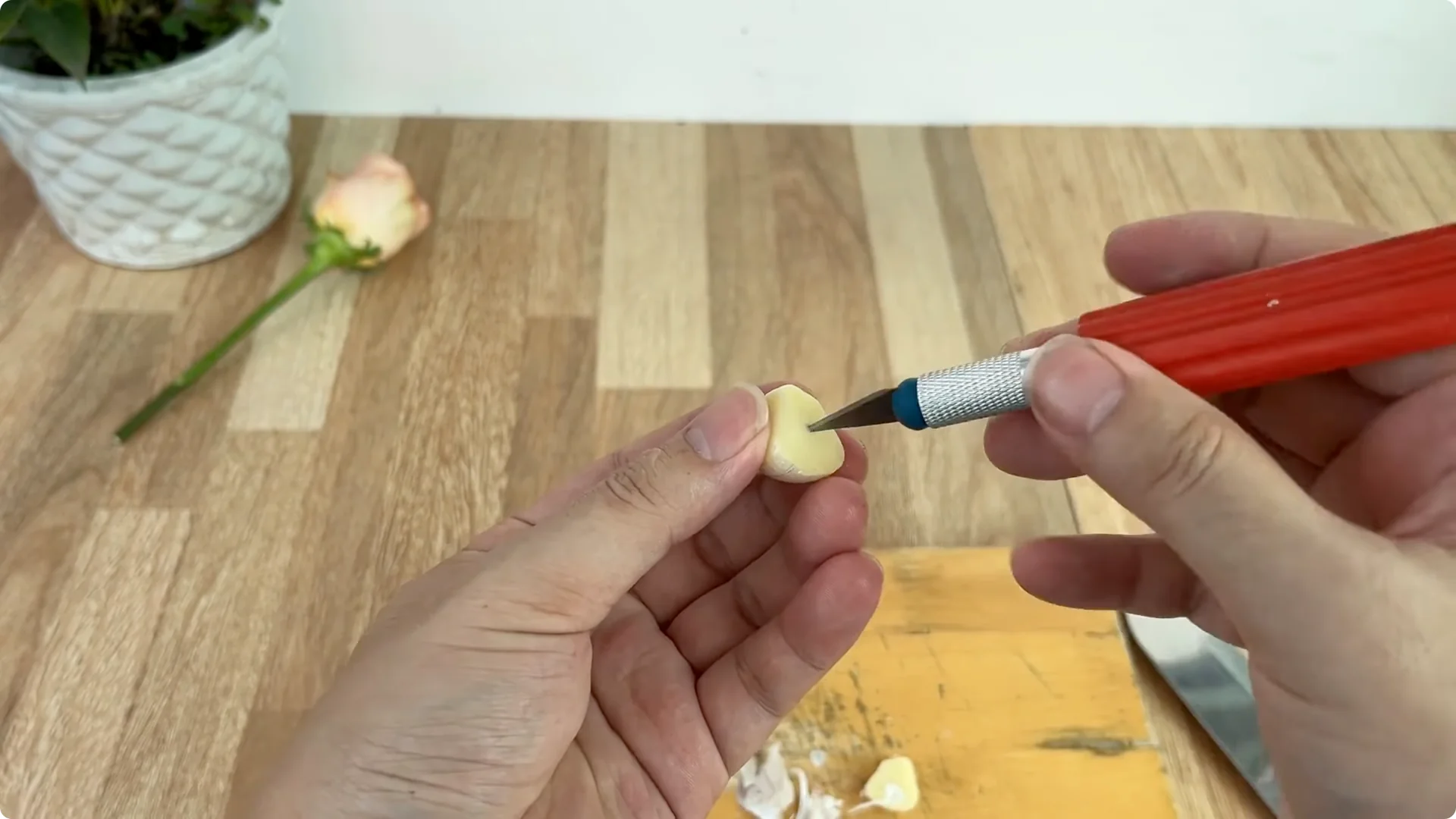 How One Cup Sparks 1001 Roots and Year-Round Roses screenshot 4