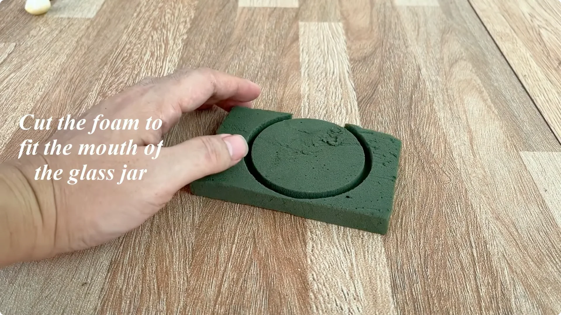 How One Cup Sparks 1001 Roots and Year-Round Roses screenshot 6