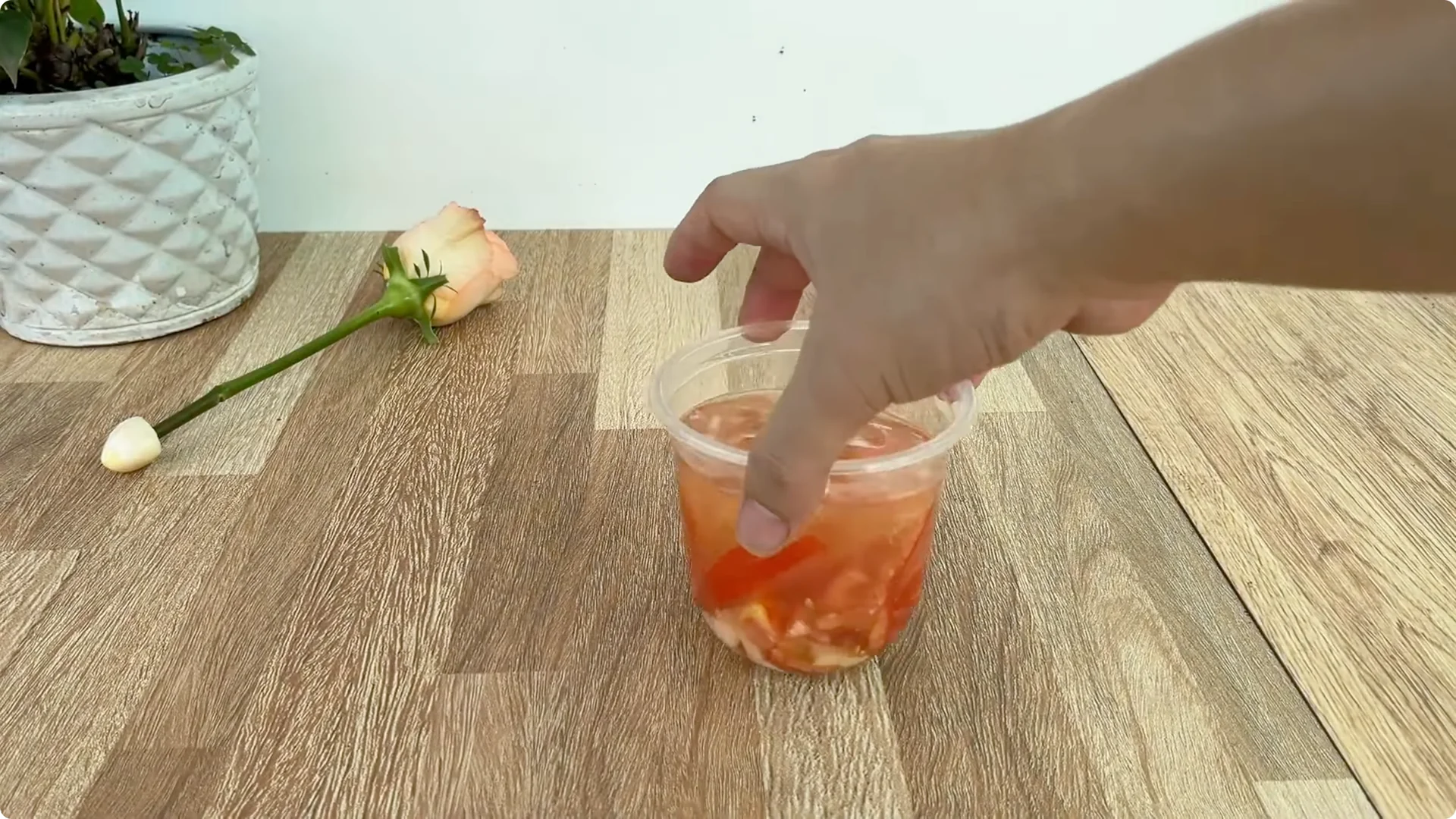 How One Cup Sparks Rapid Root Growth in Rose Branches screenshot 4