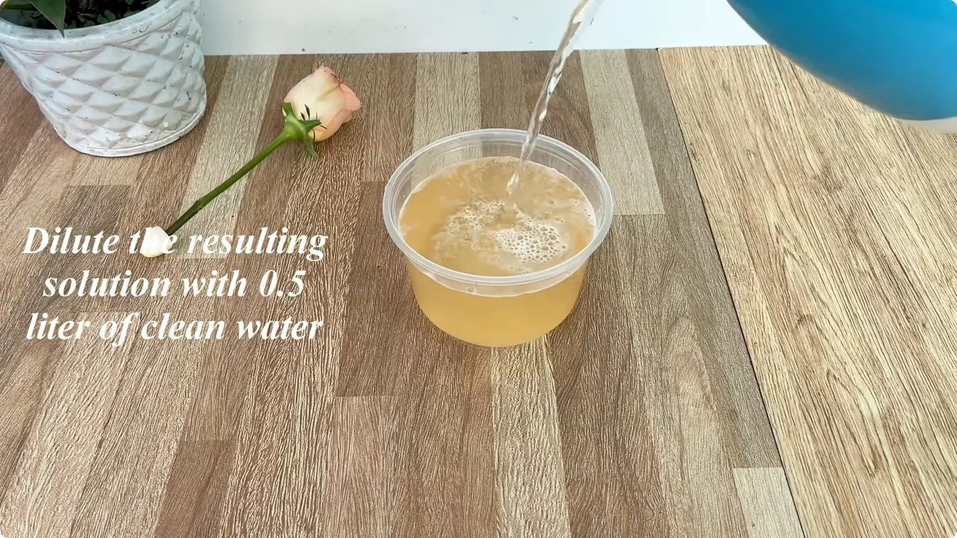 How One Cup Sparks Rapid Root Growth in Rose Branches screenshot 5