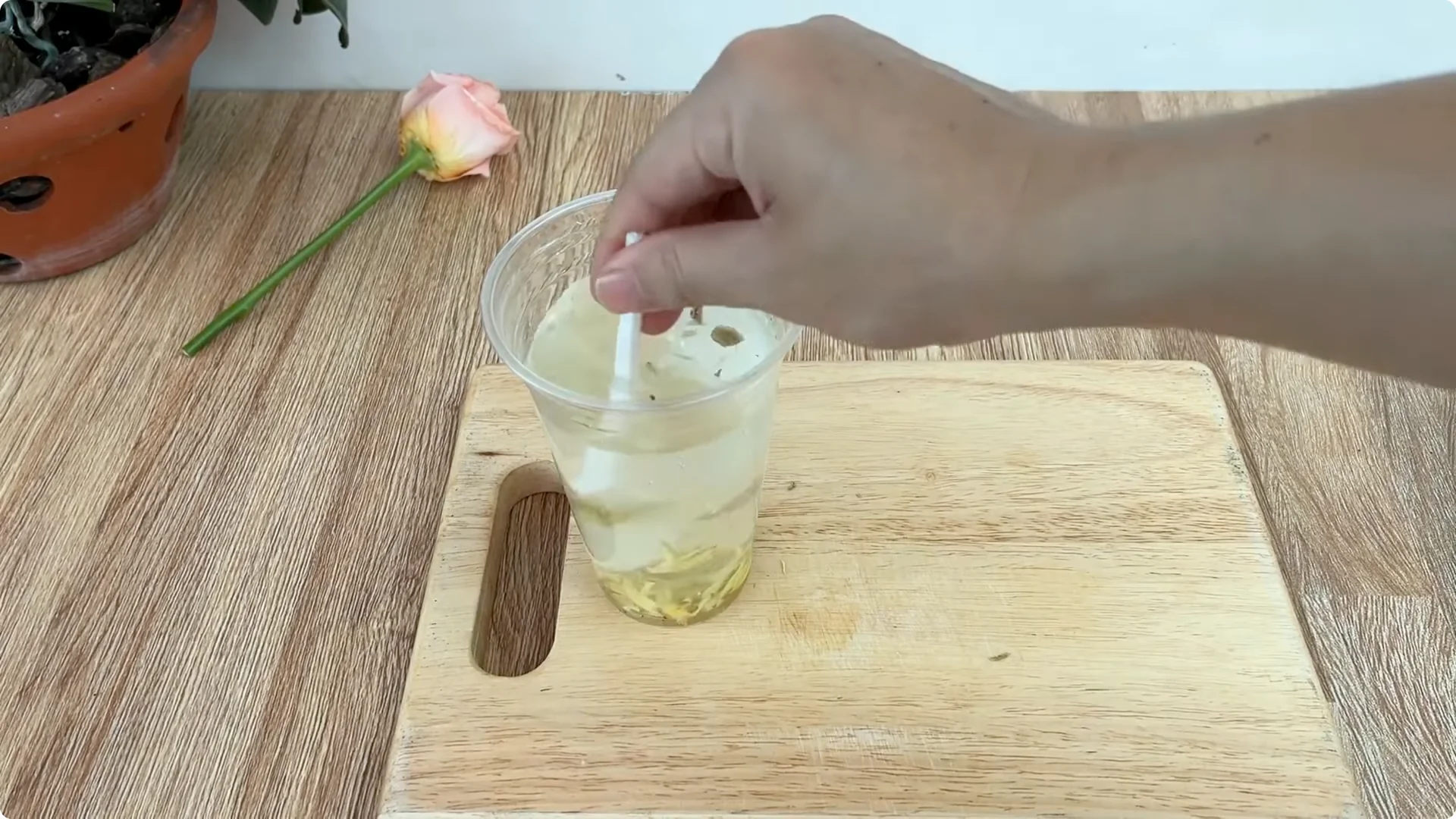 How One Cup Transforms Your Rose Plant’s Roots and Blooms screenshot 2