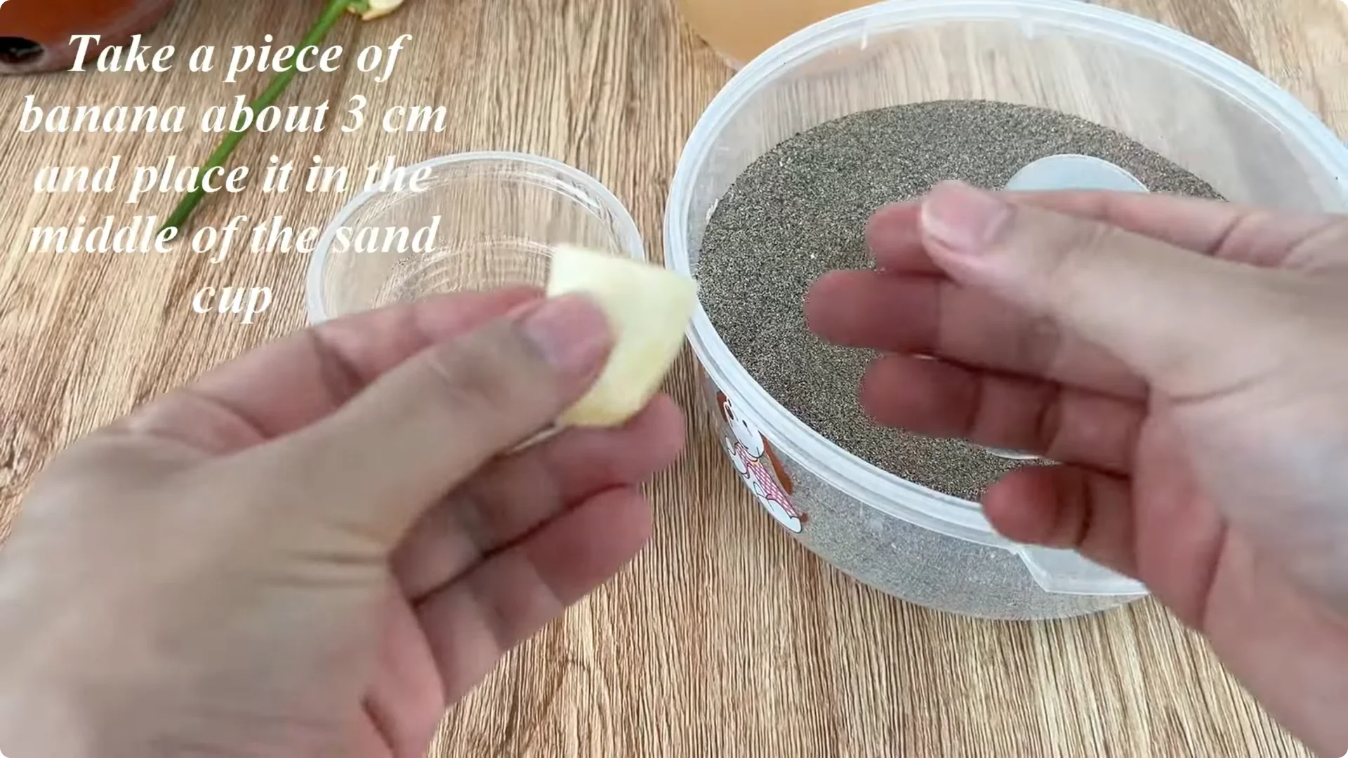 How One Cup Transforms Your Rose Plant’s Roots and Blooms screenshot 6