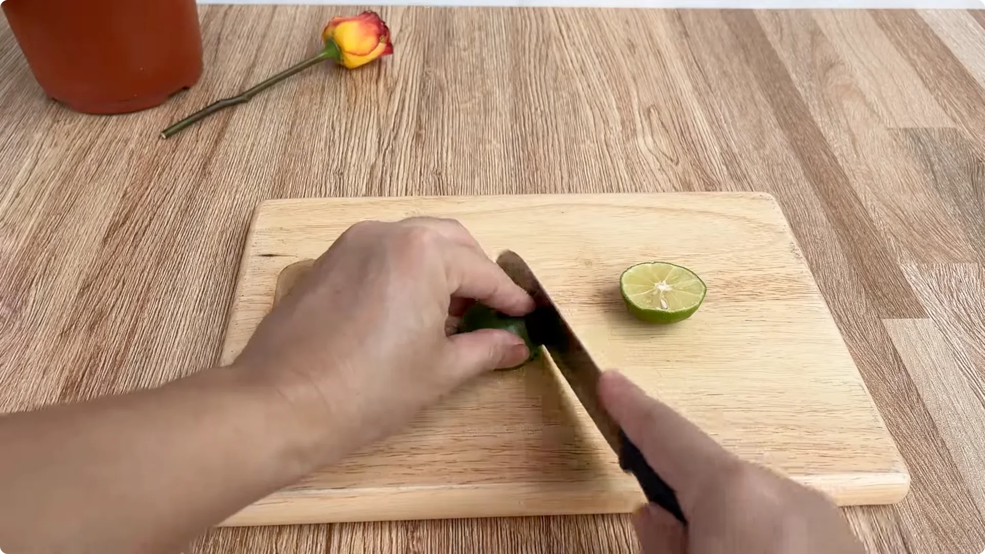 How One Drop Reveals 101 Roots and Boosts Rose Blooms screenshot 2