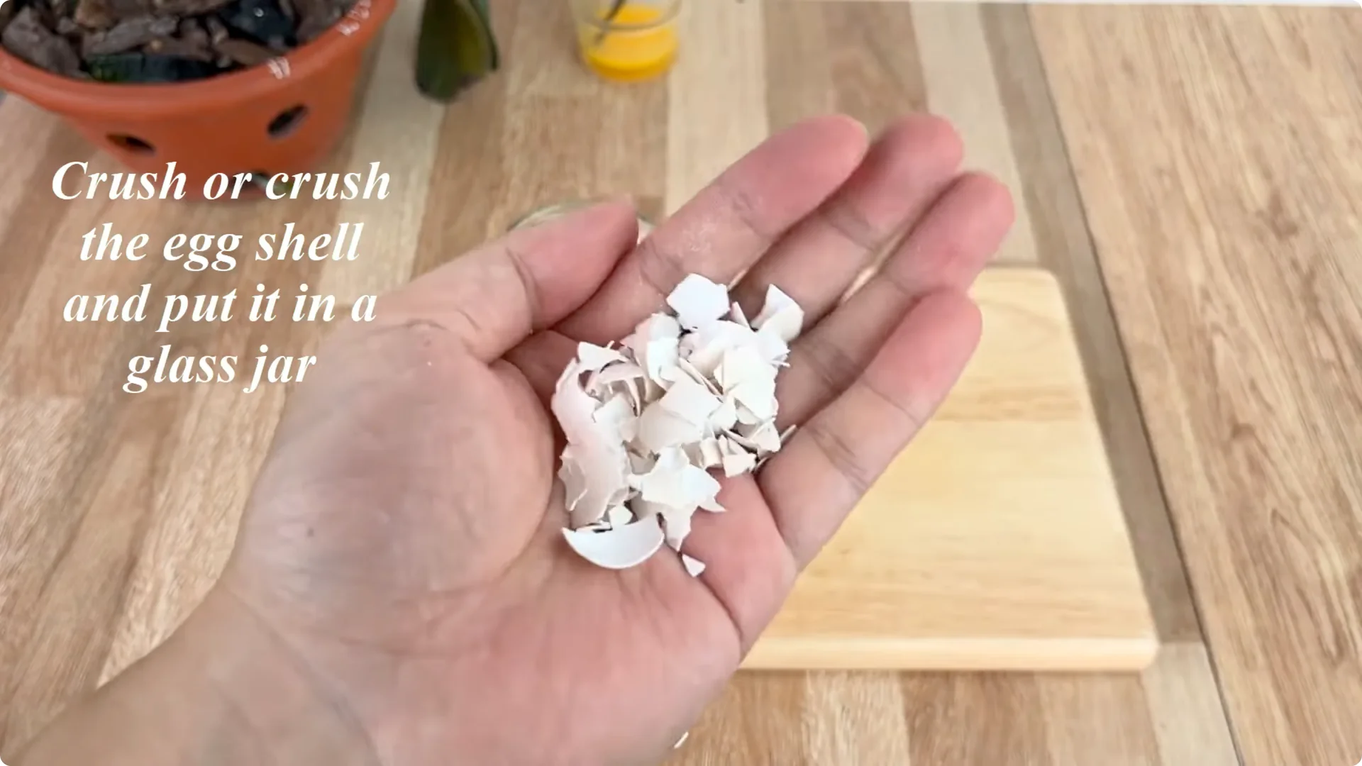 How One Egg Can Transform Your Rose Plant’s Growth screenshot 4