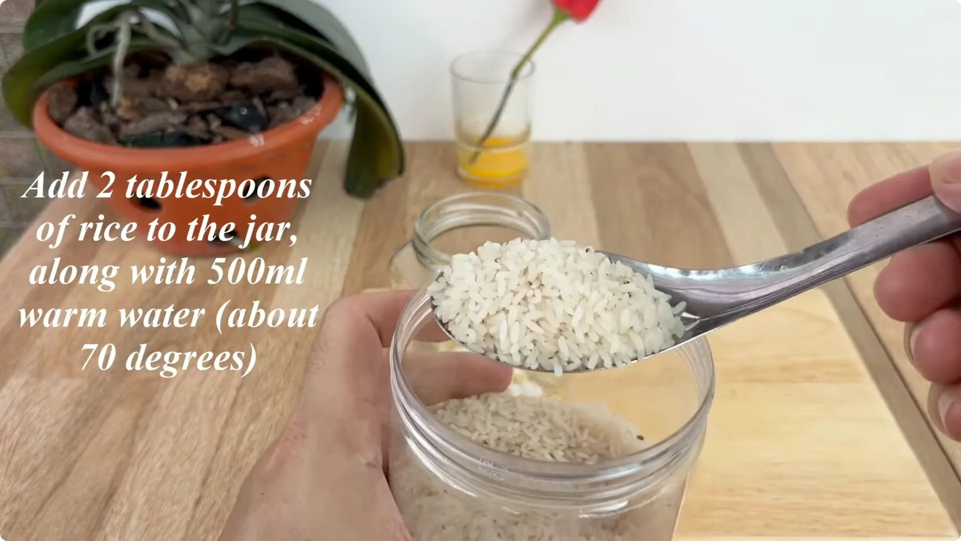 How One Egg Can Transform Your Rose Plant’s Growth screenshot 5