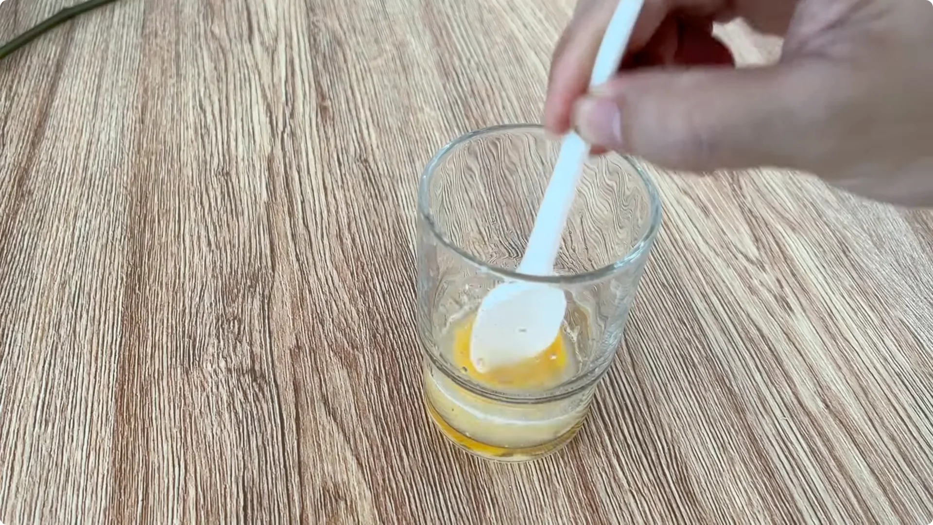 How One Egg Helped a Rose Branch Root Overnight screenshot 2