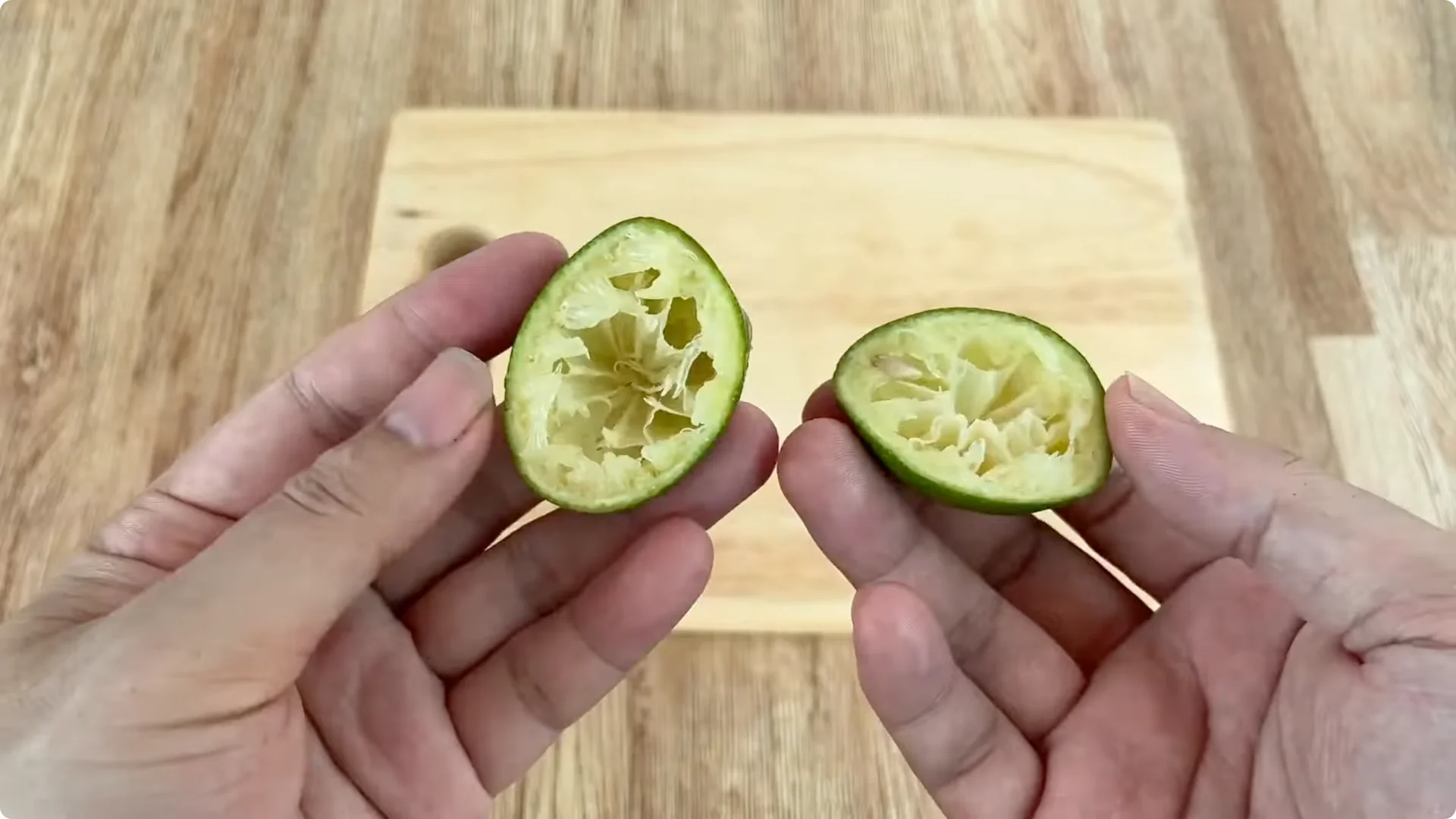 How One Egg Helped a Rose Branch Root Overnight screenshot 3