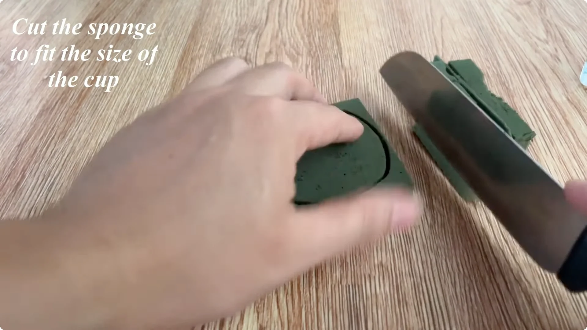 How One Garlic Clove Transformed a Rose Branch’s Growth screenshot 4