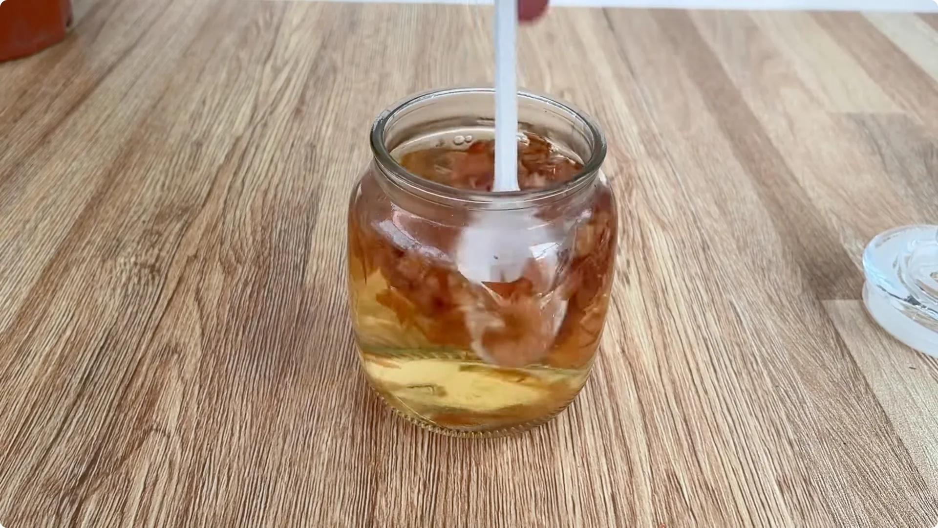 How One Onion Helped a Rose Branch Bloom All Year Round screenshot 1