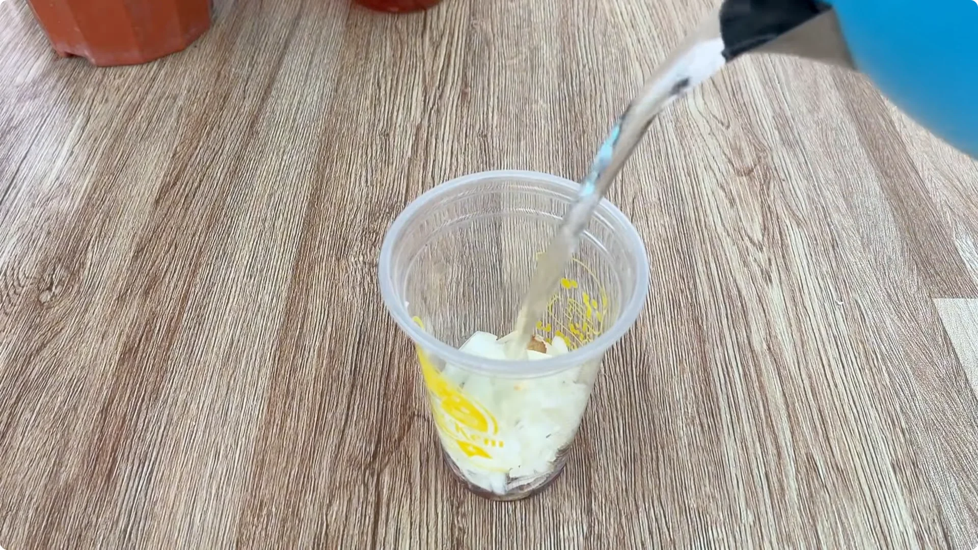 How One Onion Helped a Rose Branch Bloom All Year Round screenshot 2