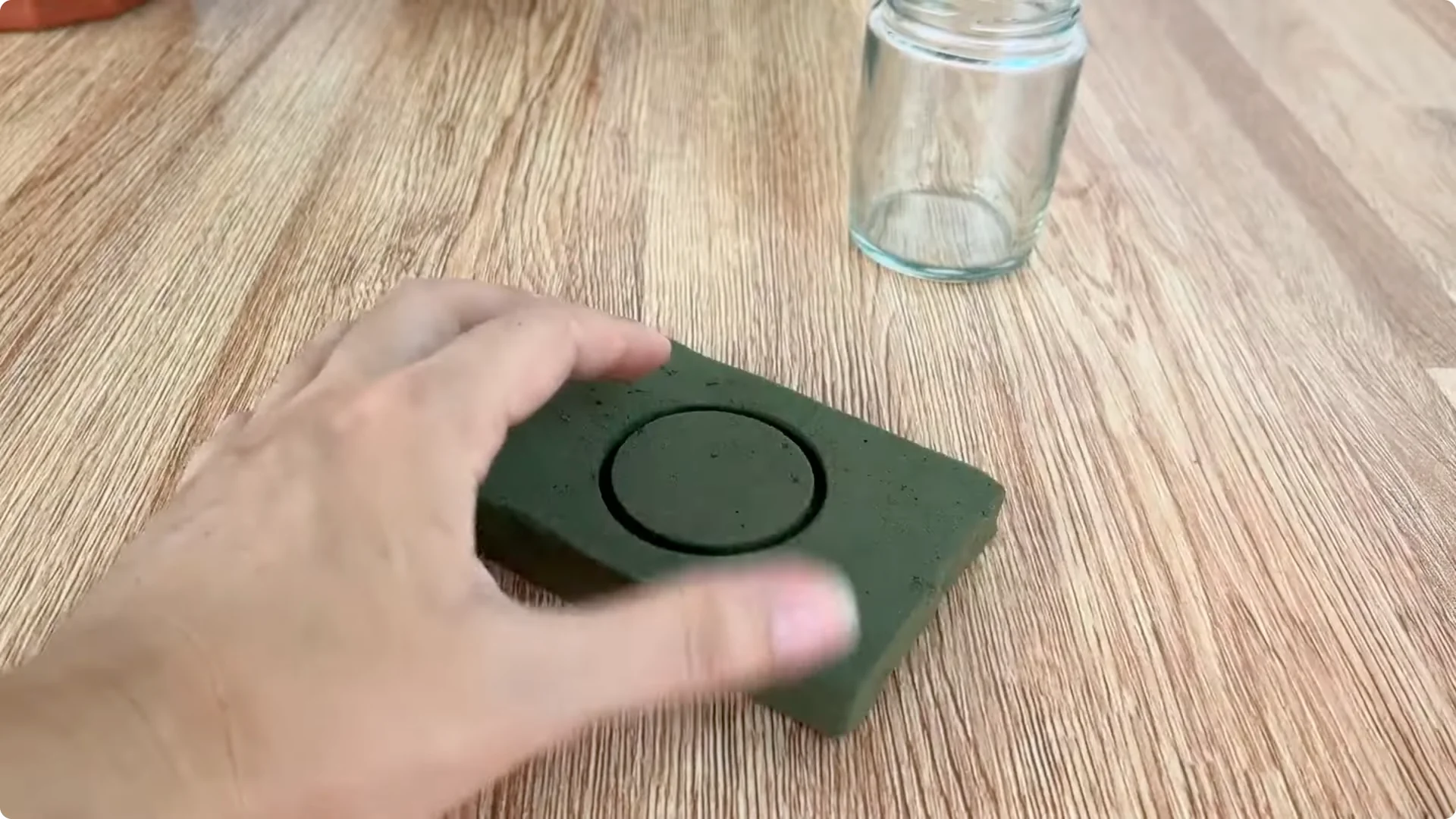 How One Onion Helped a Rose Branch Bloom All Year Round screenshot 5