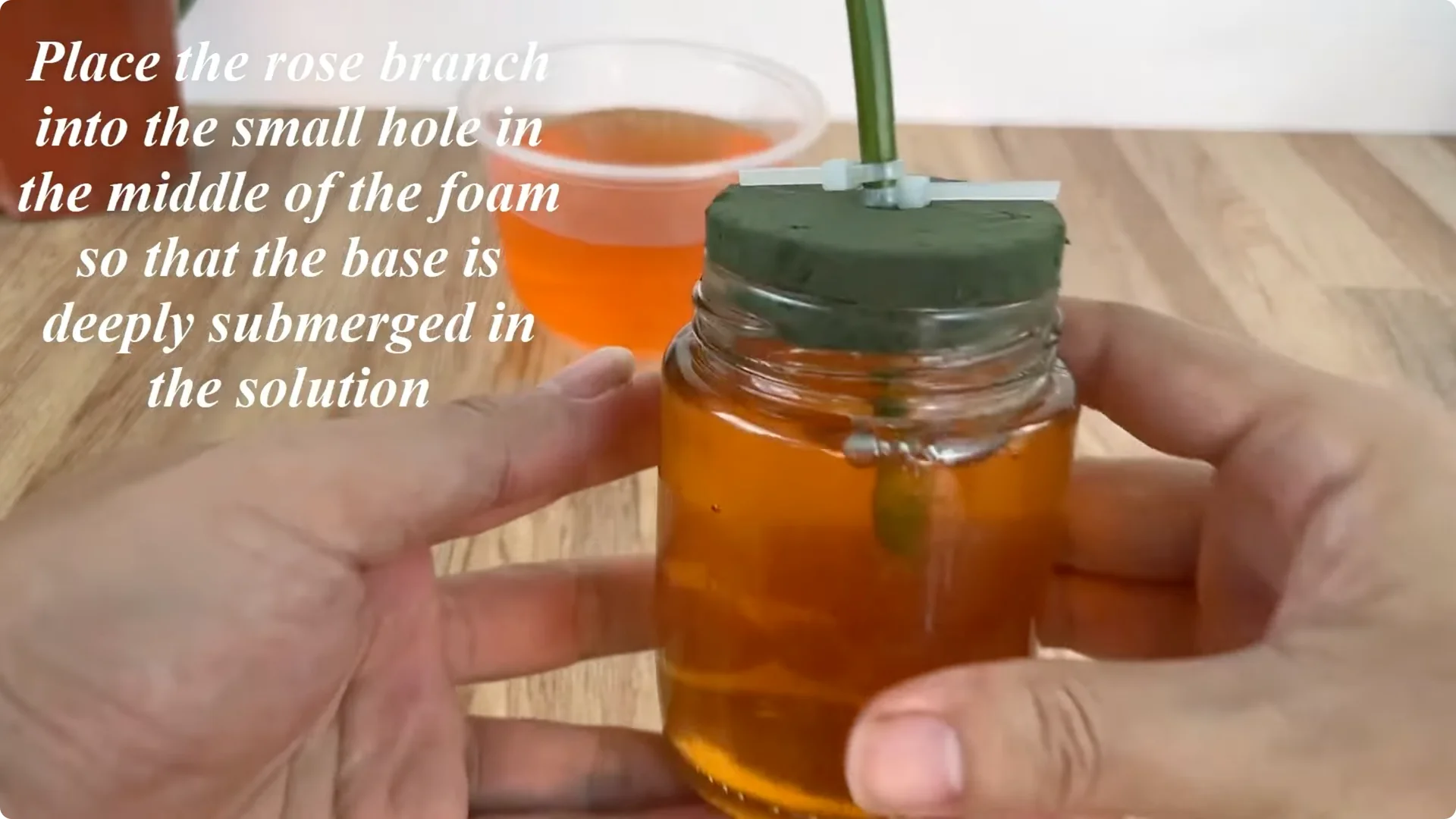 How One Onion Helped a Rose Branch Bloom All Year Round screenshot 7