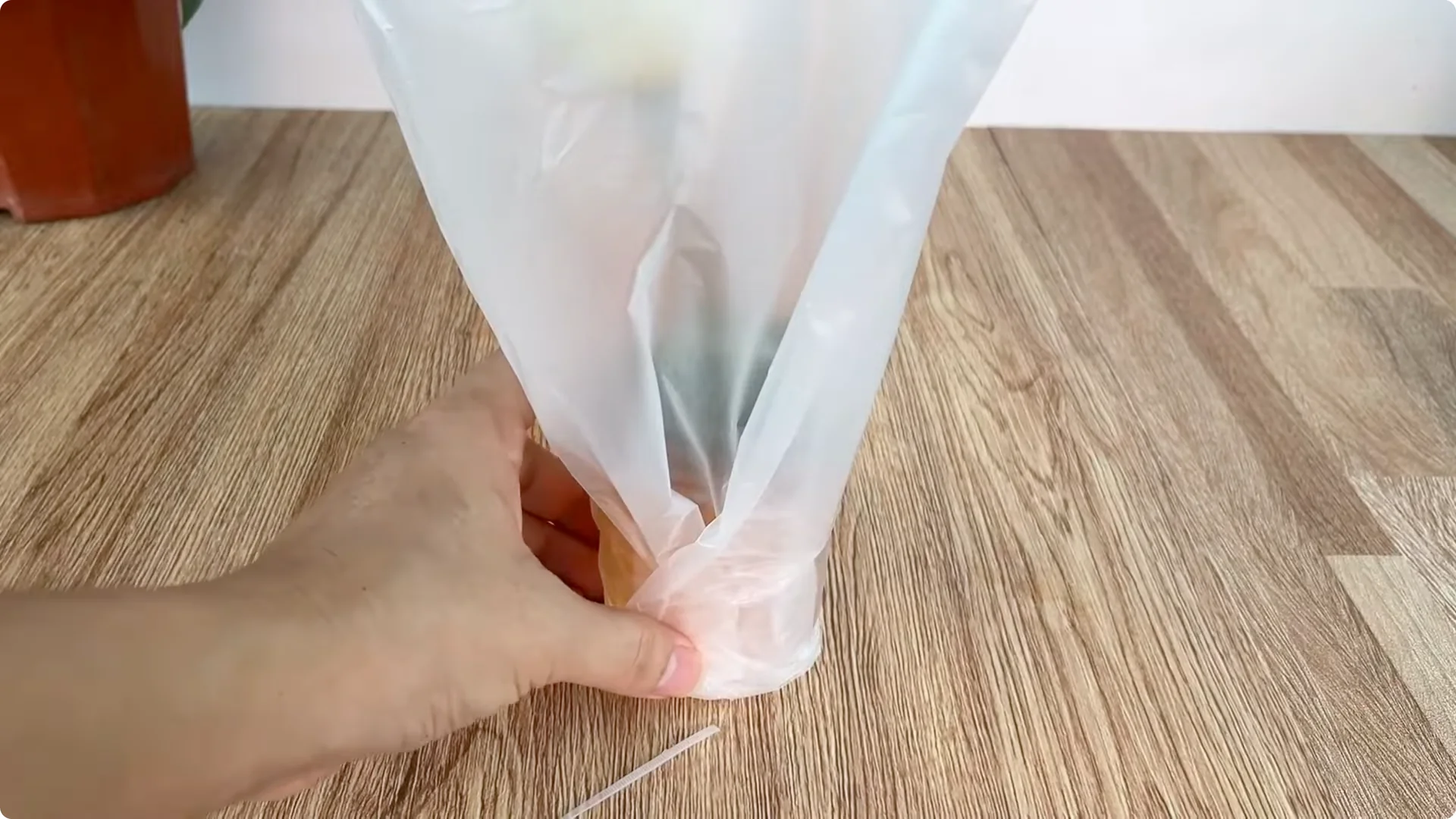 How One Onion Helped a Rose Branch Bloom All Year Round screenshot 8