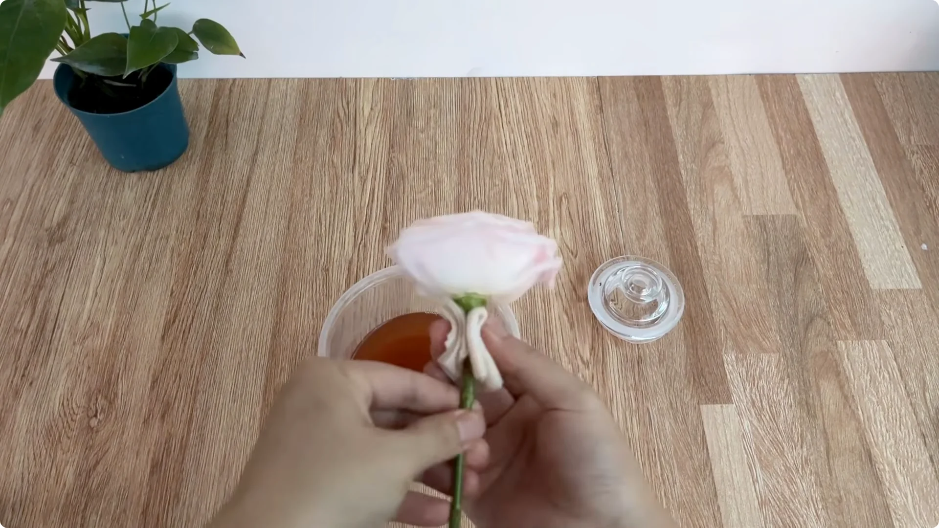 How One Slice of Bread Can Boost Rose Branch Growth 800% screenshot 3