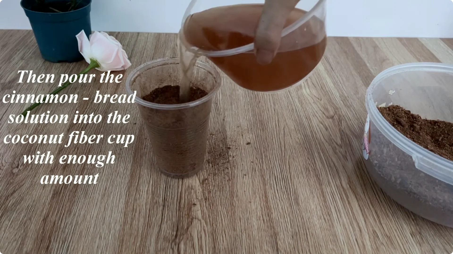 How One Slice of Bread Can Boost Rose Branch Growth 800% screenshot 5