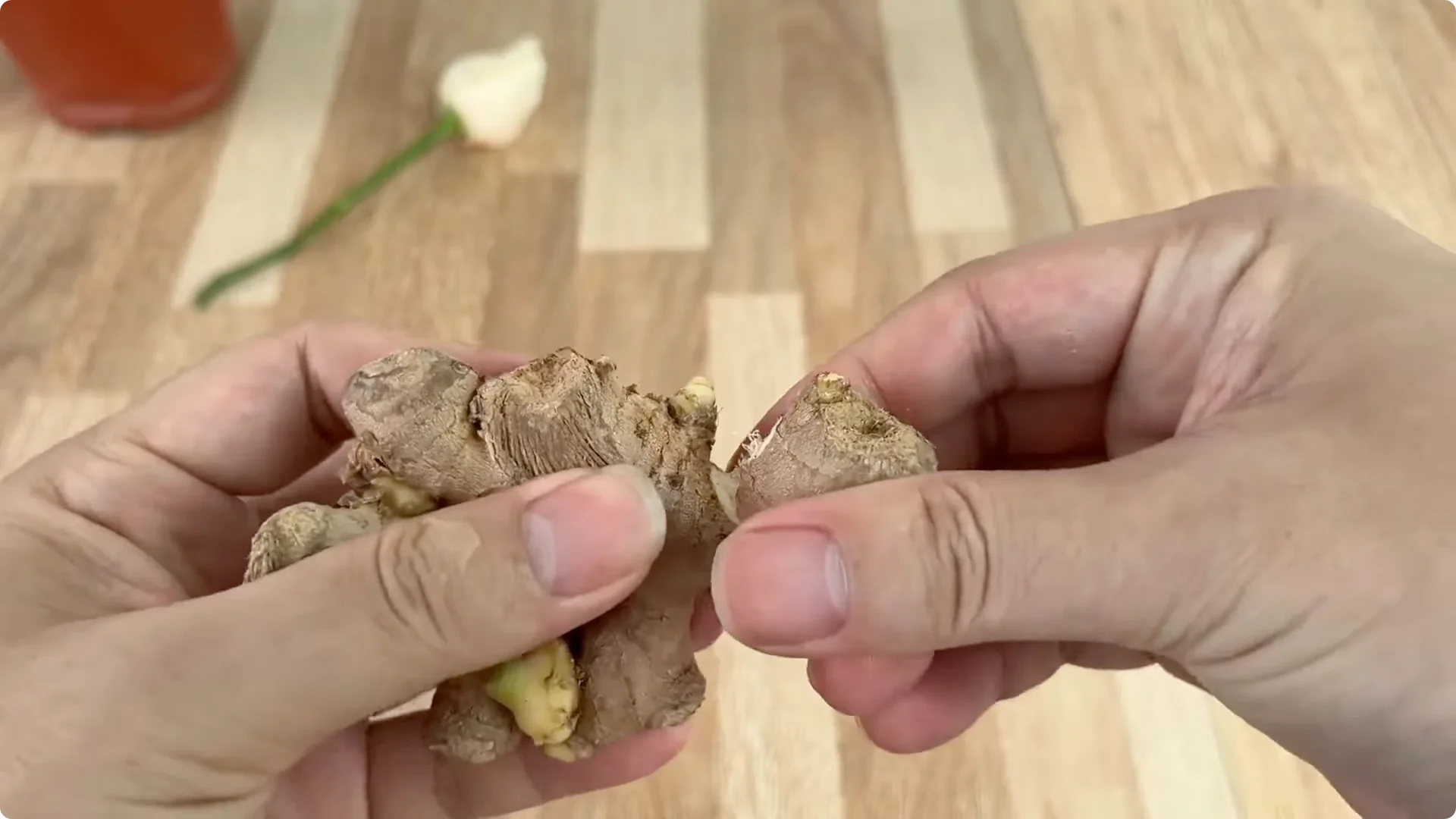 How One Small Rose Branch Sparked an Unexpected Bloom screenshot 2