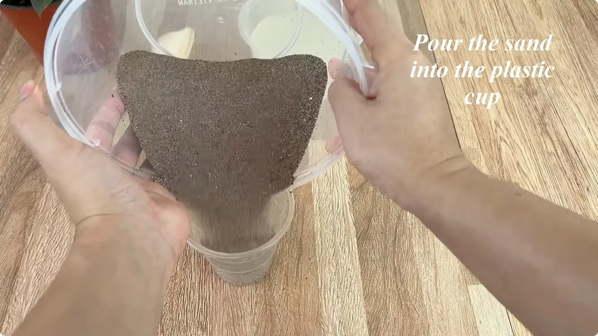 How One Small Rose Branch Sparked an Unexpected Bloom screenshot 4