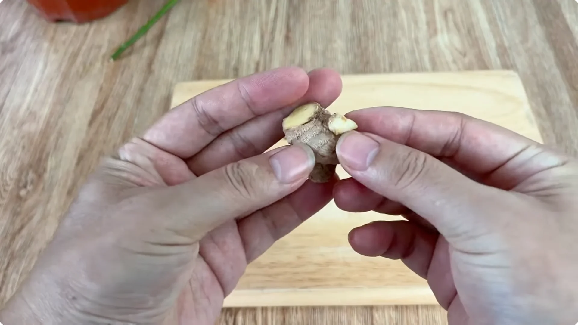 How One Spoon Can Transform Your Rose Plant’s Growth screenshot 1