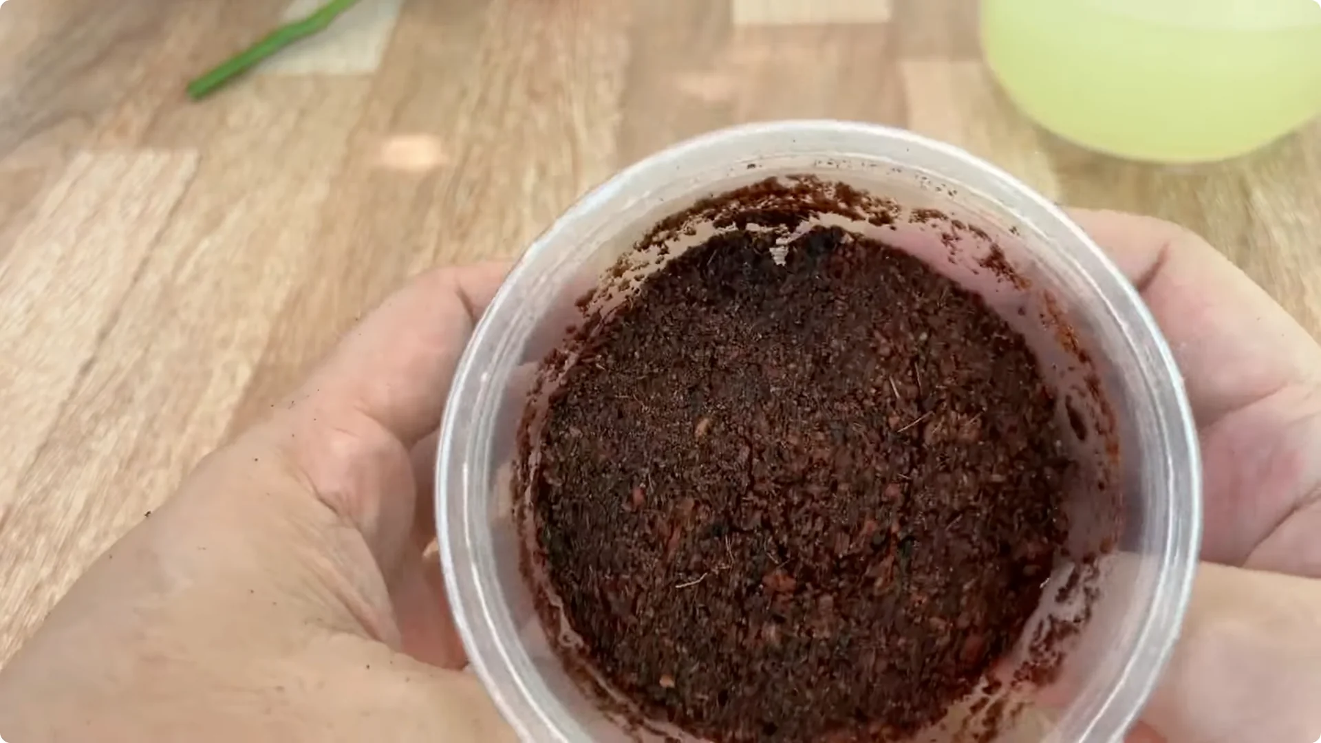 How One Spoon Helped a Rose Branch Root and Bloom Continuously screenshot 17